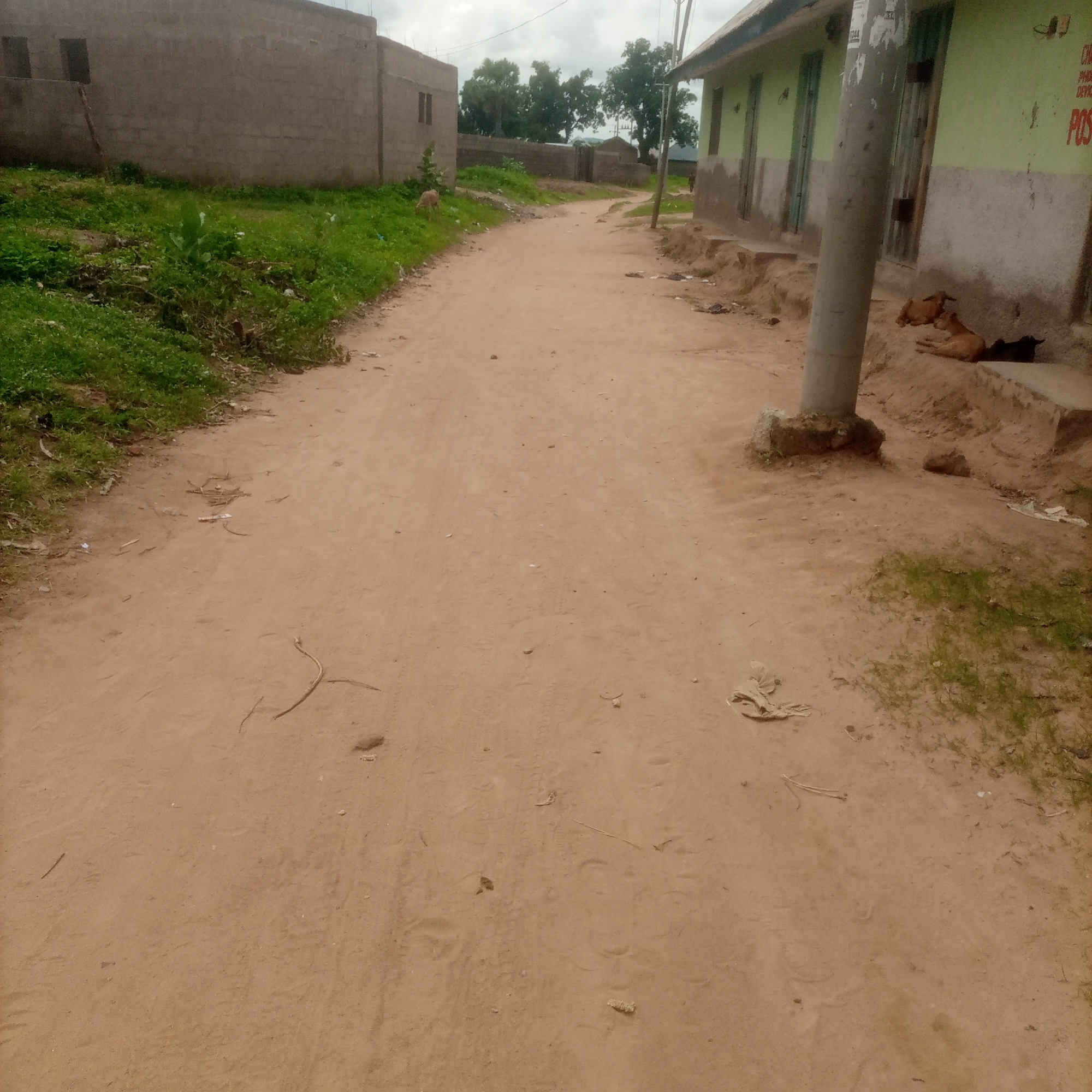 This is a ground-level, wide shot of a dirt road in Jalingo, Nigeria. On the left side of the road is a partially constructed, grey concrete block building with two visible window openings. Adjacent to this building is a patch of green grass and some scattered debris. The road itself is composed of reddish-brown dirt and shows signs of tire tracks and foot imprints.
On the right side of the road, there is a light green building with a darker stripe along the bottom. Several doorways are visible, and in front of the building, a grey utility pole stands. Three dogs are resting on the ground in front of the building. One is lying down, a second is curled up beside it, and a third, darker dog is partially visible behind them. Some debris and small plants are scattered on the ground to the right of the road.
In the distance, more buildings and trees can be seen, suggesting a residential or semi-urban area. The sky is overcast, indicating cloudy weather. The overall impression is of a dusty, rural or semi-urban street scene in Nigeria.