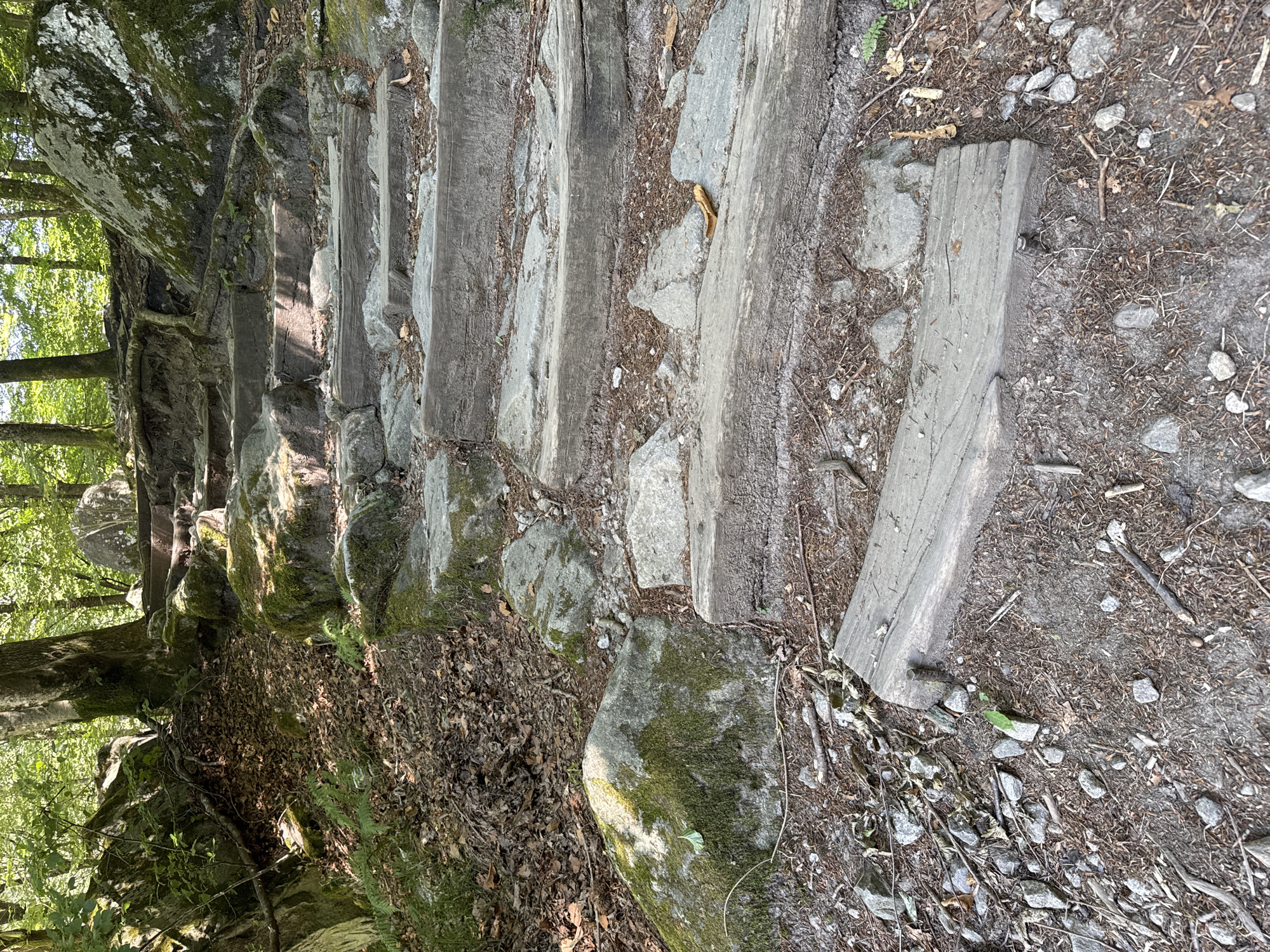 The image shows a weathered wooden staircase ascending a rocky, wooded incline in Verzasca, Switzerland. The steps are constructed from rough-hewn logs and are interspersed with natural stones and earth. Lush green foliage and moss cover large rocks on either side of the path, and fallen leaves litter the ground. Sunlight filters through the dense canopy of trees, casting dappled shadows on the scene. The environment suggests a natural, outdoor setting, likely a hiking trail within a forested area. There are no people or animals visible in the image.
