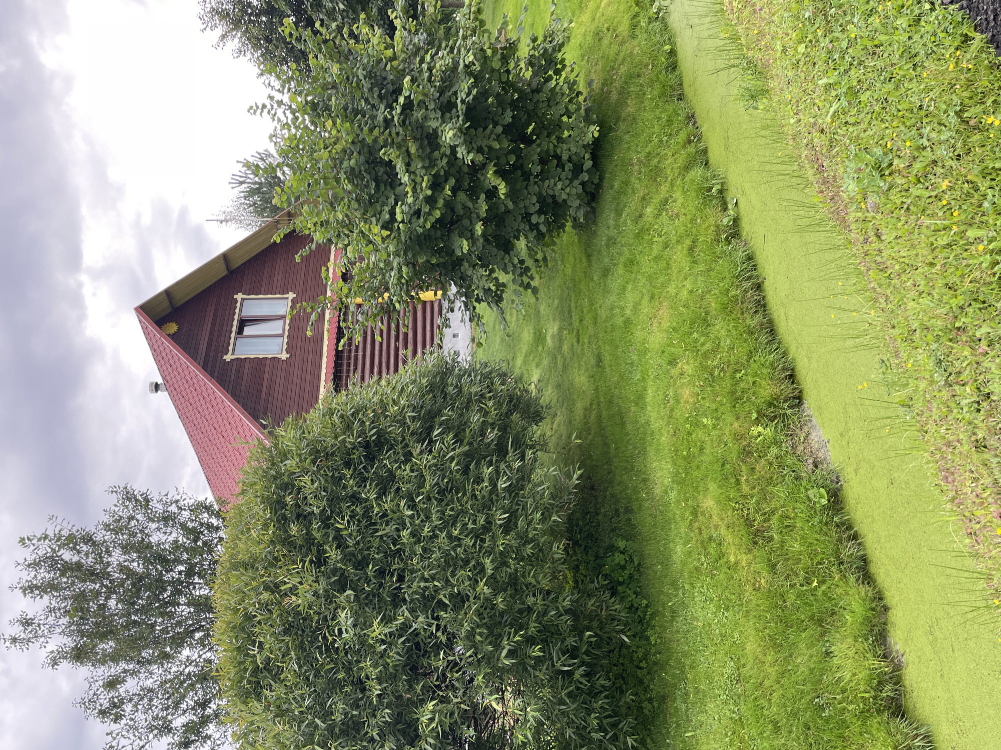 A wooden house with a red roof is visible in the background, partially obscured by lush green trees and bushes. The house is dark red and appears to be made of logs. A window with white trim is visible on the upper floor. In the foreground, a narrow, algae-covered ditch runs diagonally across the image. The ditch is surrounded by vibrant green grass. The sky is overcast with gray clouds. The scene suggests a rural or suburban setting.