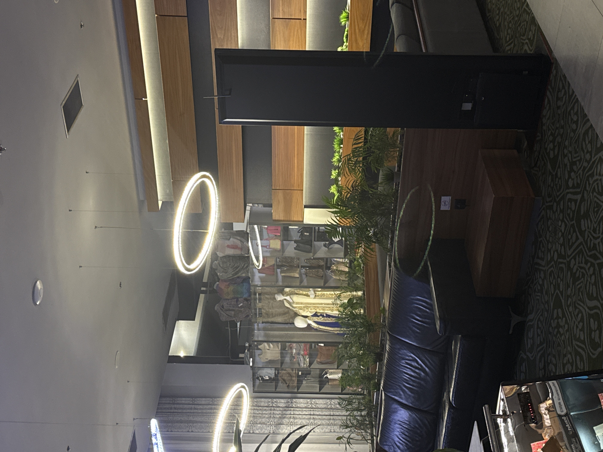 The image depicts an interior scene, likely a modern retail or lounge area. In the foreground, a dark leather couch is visible, with a patterned carpet beneath it. To the left, a reflective surface, possibly a display case or counter, shows reflections of items. In the background, shelves are filled with various merchandise, including bags and clothing displayed on mannequins. Overhead, modern ring-shaped pendant lights illuminate the space. The wall behind the merchandise features a decorative design with wooden elements and integrated lighting. A tall, dark, rectangular structure stands prominently on the right side of the image, possibly a partition or display unit. Potted plants are placed on ledges and in planters, adding a touch of greenery to the environment. The overall impression is one of a clean, well-lit, and contemporary commercial space. The city of Ilidža, Bosnia and Herzegovina is not identifiable from the visual elements within the image.