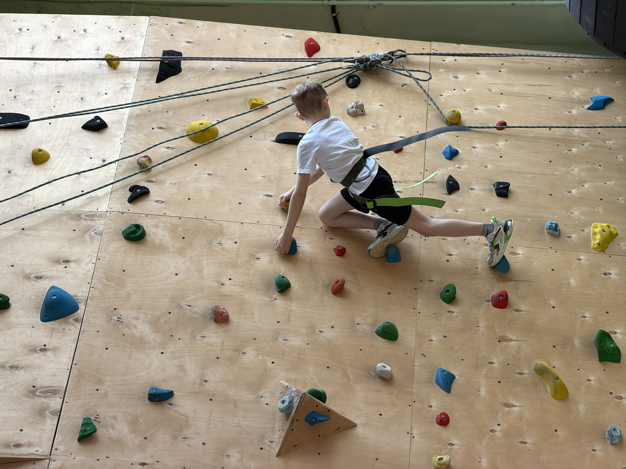 An indoor climbing wall, likely located in Izhevsk, Russia, is the setting for a young boy's climbing activity. The wall is constructed from light-toned plywood panels, featuring numerous colorful climbing holds in various shapes and sizes, predominantly in shades of red, yellow, green, black, and blue. A network of green and grey ropes crisscrosses the upper section of the wall, secured by knots at the top, suggesting a system for belaying or self-belaying.
The subject is a young boy, dressed in a white short-sleeved t-shirt, black shorts, and light-colored sneakers with green accents. He is actively engaged in climbing, with his body angled towards the wall. A dark grey and bright green climbing harness is visible around his waist and upper thighs, indicating safety equipment is in use. He is shown mid-movement, with his right hand reaching forward towards a hold and his left leg extended backward, suggesting a dynamic posture. The boy appears focused and absorbed in his climb.
The scene is brightly lit, typical of an indoor sports facility. There is no visible text present in the image.