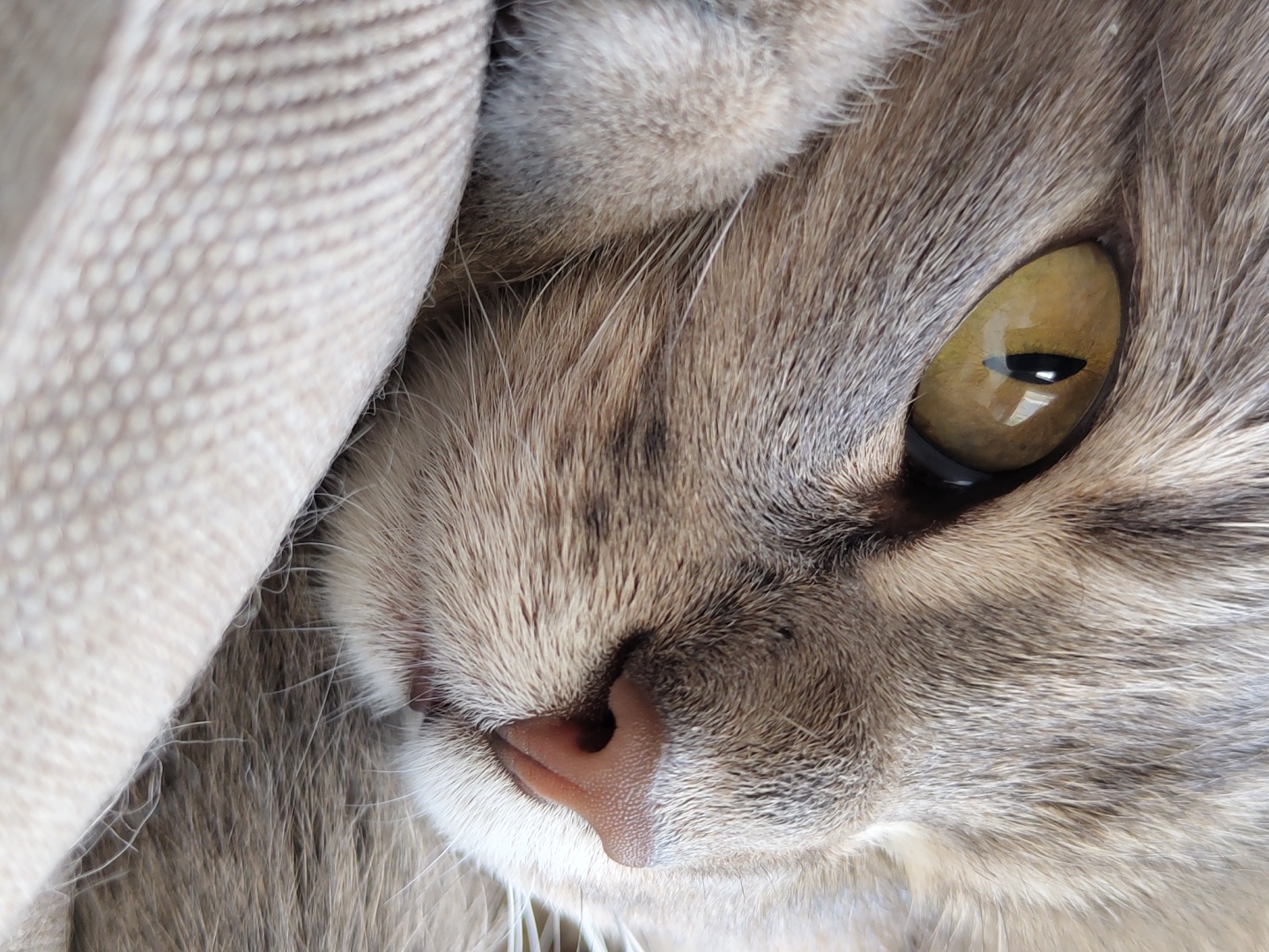 A close-up, eye-level shot shows a tabby cat with yellow eyes resting its head on a beige, textured surface. The cat's fur is a mix of gray and brown stripes. The focus is on the cat's eye, nose, and mouth, with its left paw resting near its face. The background is softly blurred, suggesting a shallow depth of field. The image is well-lit, highlighting the details of the cat's features. There are no people or other objects clearly visible in the frame. The overall mood is peaceful and serene. The location is not specified in the prompt and cannot be determined from the image.