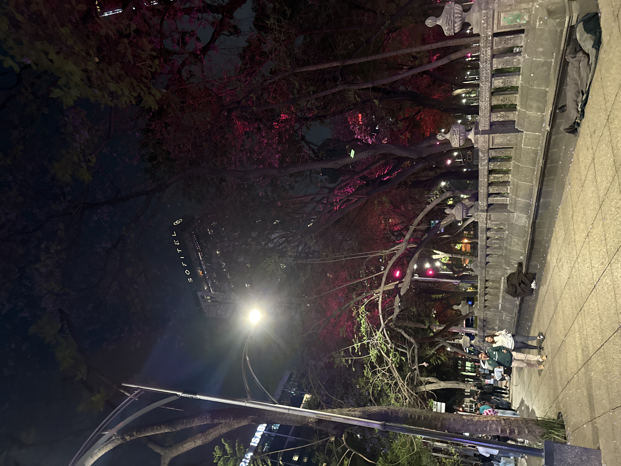 At night in Mexico City, Mexico, a group of people stand on a sidewalk near a stone wall, illuminated by streetlights and pink tree lights. The SOFITEL building is visible in the background, indicating the location near a hotel. The scene appears urban, with trees lining the street. People interact casually, some standing in groups, suggesting a relaxed social atmosphere.