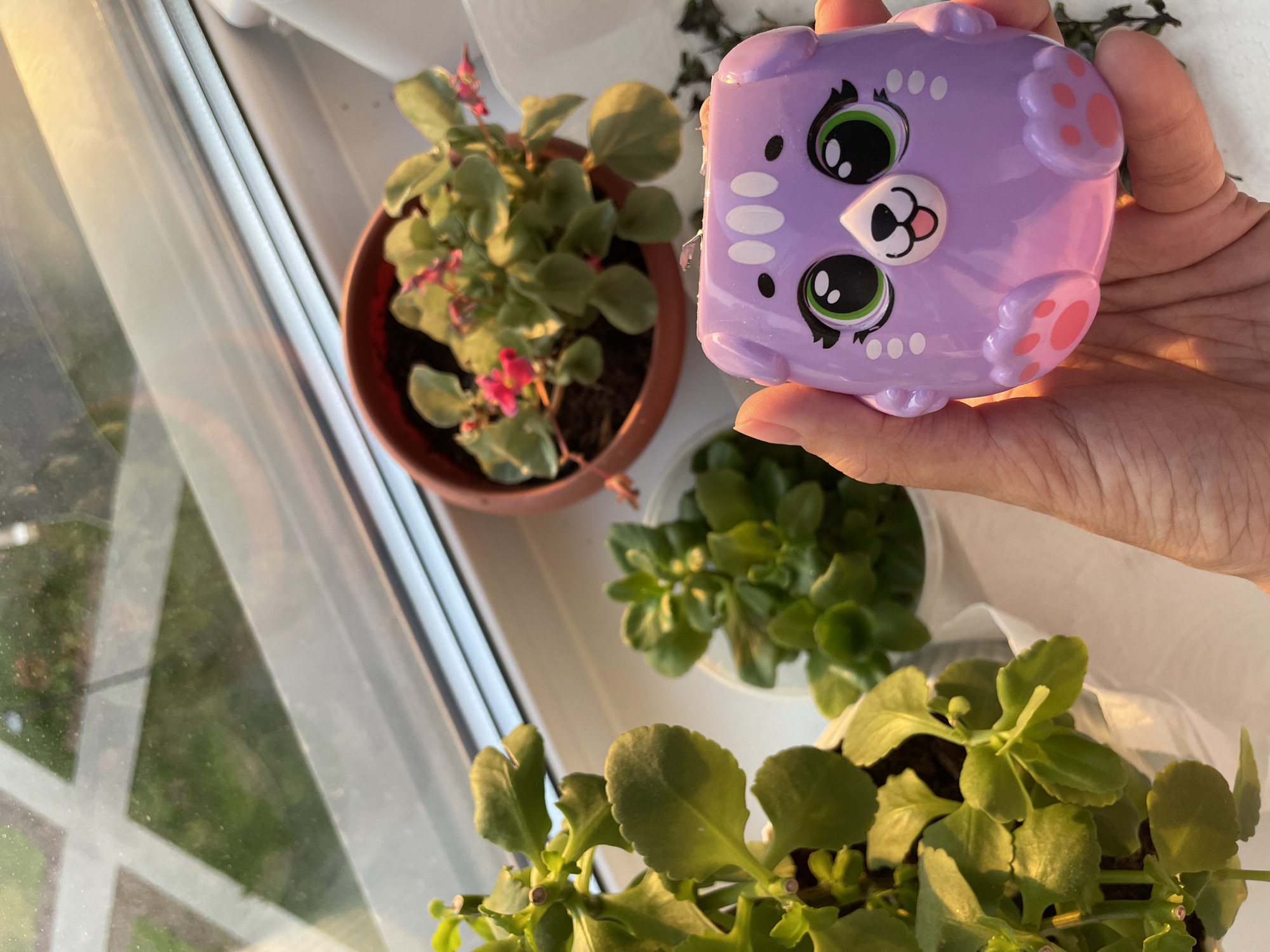 An indoor scene shows a hand holding a lilac, square, cat-shaped toy with pink paw prints. The toy has cartoonish features, including large green eyes and a small pink nose. In the background, there are several potted plants arranged on a windowsill. One plant in a terracotta pot has small pink flowers. The other plants have green foliage. The window is visible in the background. No information about the location of the scene in Izhevsk, Russia is present in the image.