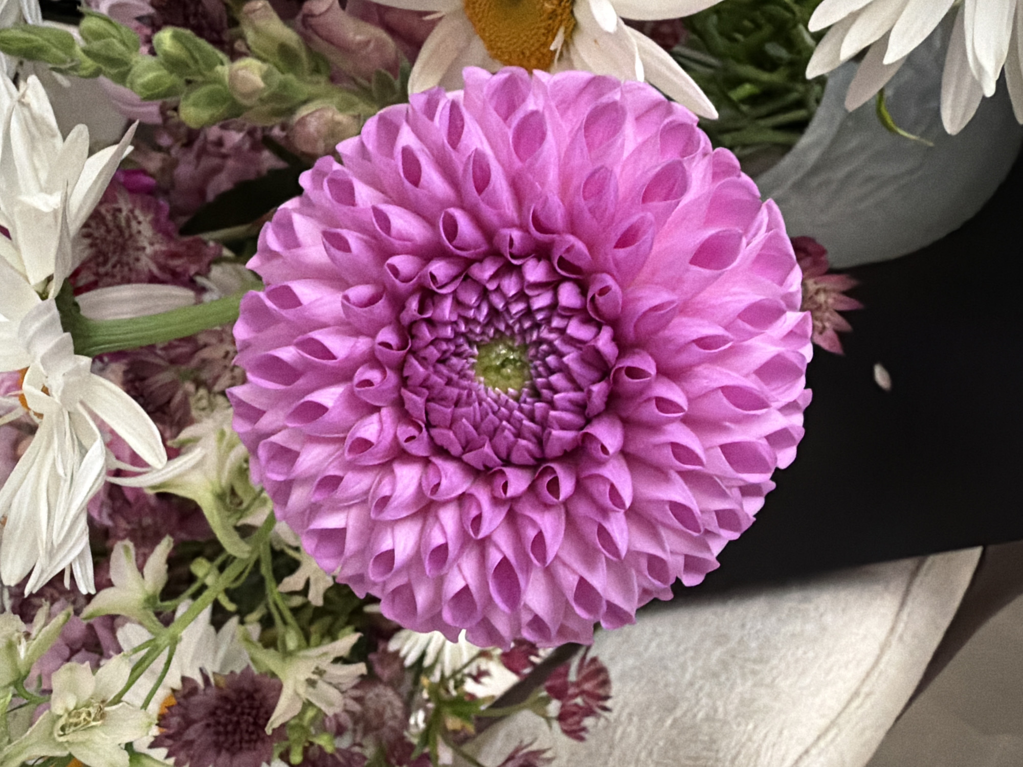 The image is a close-up, high-angle shot of a vibrant bouquet of flowers. The dominant subject is a large, fuchsia-colored dahlia with intricate, layered petals forming a spiral pattern towards its center. Surrounding the dahlia are other flowers, including white daisies with yellow centers, and smaller, deep purple florets. Green stems and leaves are visible throughout the arrangement, suggesting a naturalistic composition. The background is dark and out of focus, highlighting the floral subjects. There is no indication of a specific location within Moscow, Russia, nor are there any people or actions depicted. The scene is static and focuses solely on the aesthetic qualities of the flowers.