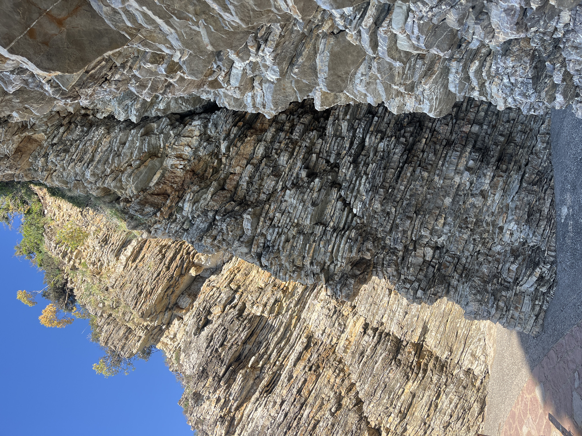 The image depicts a section of layered rock formation in Budva, Montenegro. The layers consist of varying shades of tan and gray. A small amount of foliage, with yellowed leaves, grows from the rock face on the left. The sky is clear blue. A narrow strip of pavement is visible on the bottom right.