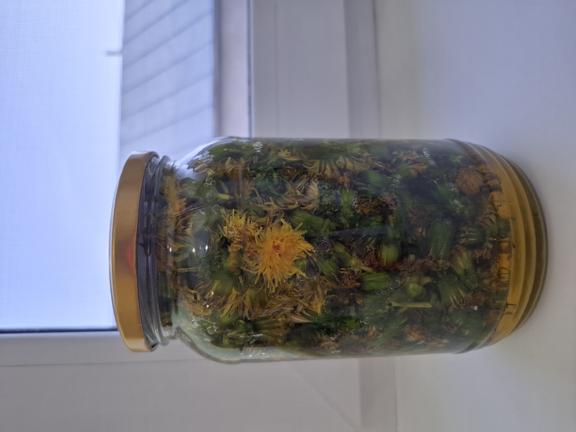 A glass jar filled with dandelions is placed on a white surface, possibly a windowsill, next to a window. The window is visible in the background, showing a soft, diffused light. The jar has a golden-colored lid. The dandelions inside consist of green stems and buds, along with a few yellow flowers. The location is Амзя, Russia.