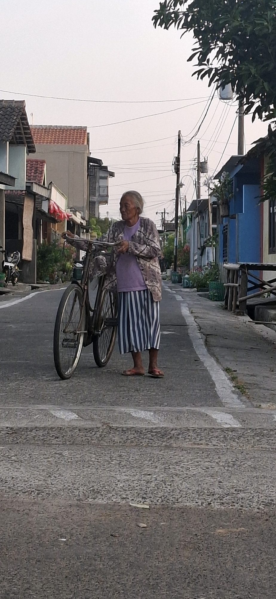 An elderly woman stands on a paved road in Desa Sindon, Indonesia, holding a vintage bicycle. The woman, with gray hair pulled back, wears a patterned cardigan over a purple shirt and a vertically striped skirt. She is barefoot, wearing simple red flip-flops. The bicycle, made of dark metal, has two spoked wheels. The street is lined with houses of varying colors, including a blue house on the right and buildings with terracotta roofs on the left. Overhead, power lines crisscross the sky. The road itself has white markings. The overall lighting suggests it is either early morning or late afternoon.