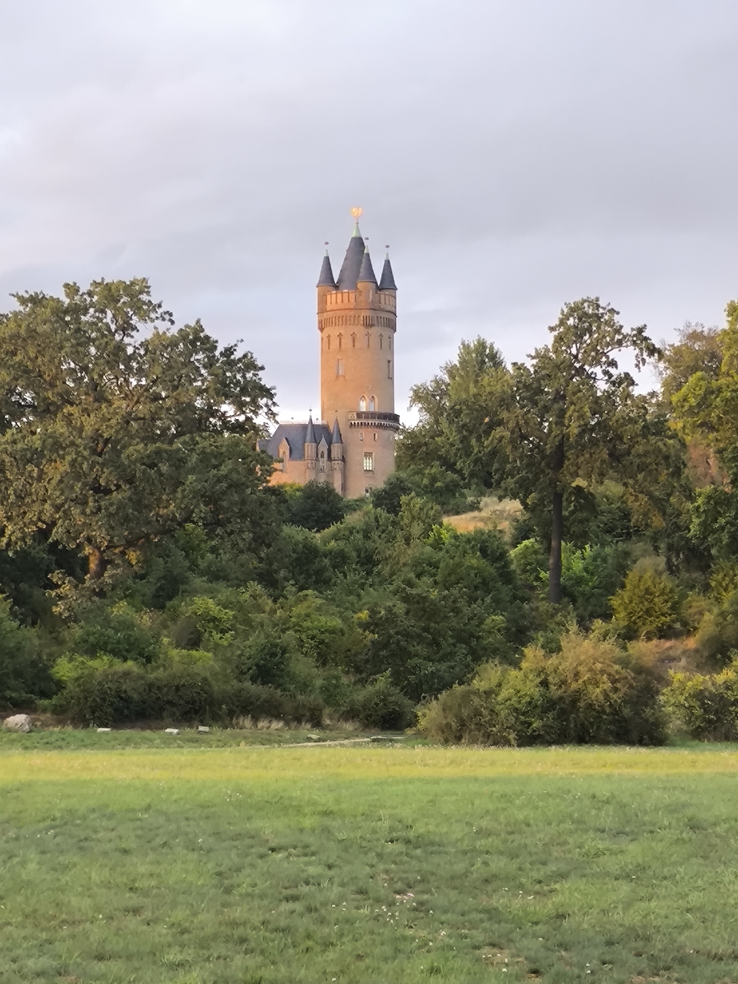 A wide shot captures a view of the Cecilienhof Palace in Potsdam, Germany, at golden hour. The palace, with its distinctive tower and turrets, is partially obscured by lush green trees and foliage. In the foreground, a gently sloping grassy field is visible, with a few scattered wildflowers. The sky above is overcast, with soft, diffused light bathing the scene.