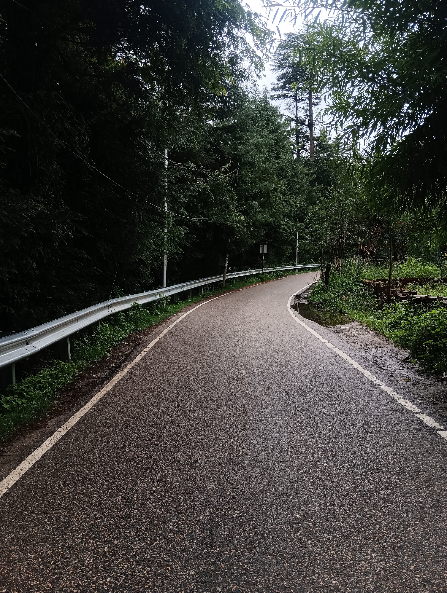 The image depicts a curved asphalt road in Manali, India, with a metallic guardrail on the left side. Dense green trees line the left side of the road, creating a shaded and natural ambiance. The road surface appears wet, possibly from recent rain, with a visible white line marking the lane. On the right side of the road, lush green vegetation and some scattered debris, including bricks, are visible. The sky is overcast, suggesting a cloudy day. The scene conveys a sense of a secluded road amidst natural surroundings.