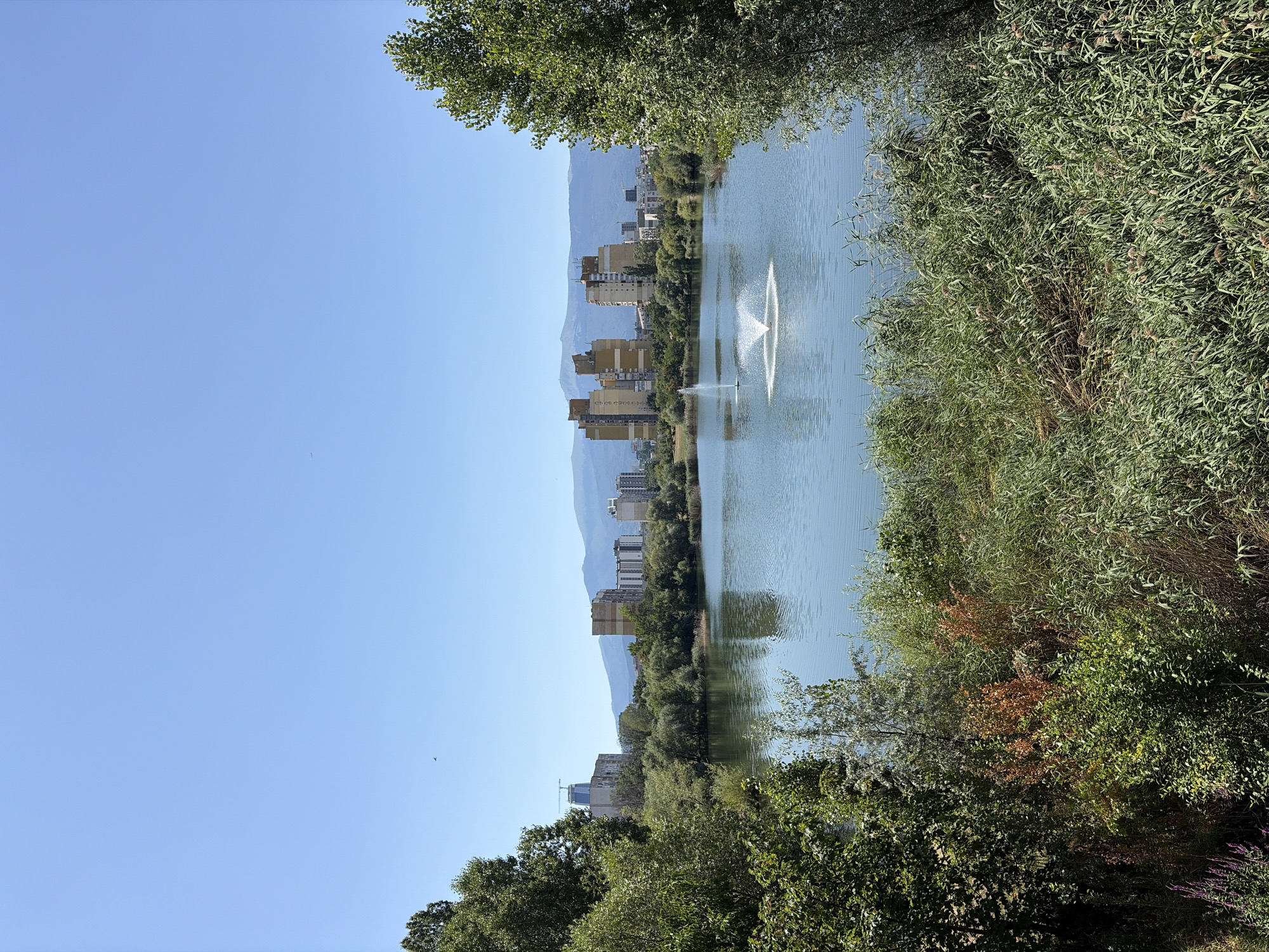 The image captures a serene scene of a lake in Sofia, Bulgaria, with a city skyline in the background. The lake is a prominent feature, with a fountain spraying water in its center, creating a graceful arc. Lush green trees and reeds surround the lake, adding a natural beauty to the landscape. In the distance, several tall buildings, characteristic of a city, rise against the clear blue sky. The sky is a vivid hue of blue, with no clouds visible. The overall impression is one of tranquility, with the water's gentle ripples and the distant city providing a sense of calm.