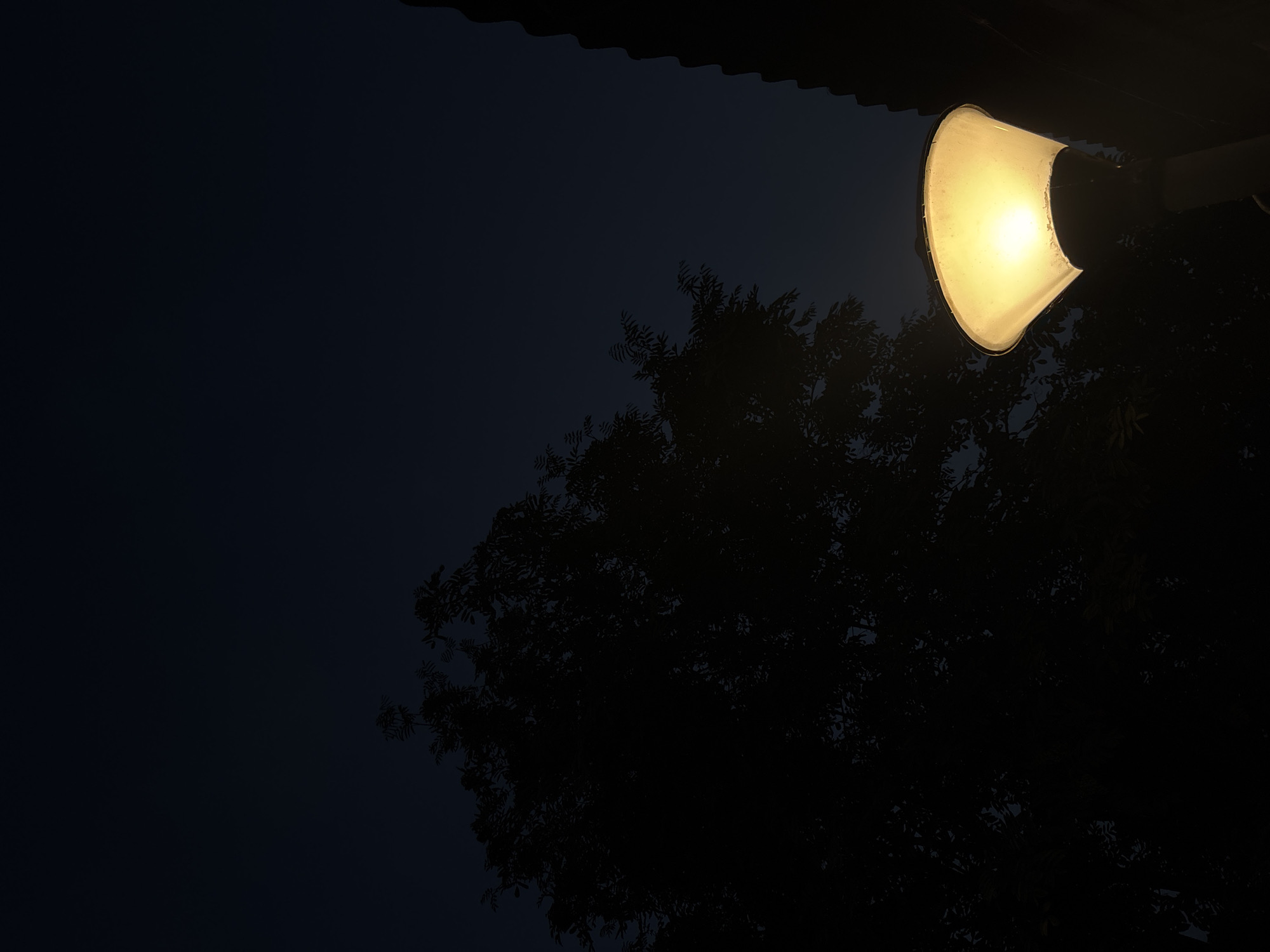 The image is a vertical, medium shot of a street lamp at dusk, set against a dark blue sky and the silhouette of a tree. The street lamp, with a conical, translucent shade, is lit from within, casting a warm yellow glow. The shade appears to be slightly worn or textured. To the left, a large tree is visible in silhouette, its branches and leaves creating a dense, dark mass against the sky. On the far right, a dark, textured shape, possibly a building or fence, is also silhouetted. The scene appears to be outdoors, with the lighting suggesting an urban or suburban setting. No people are visible. The location is specified as Vishnevka, Russia.