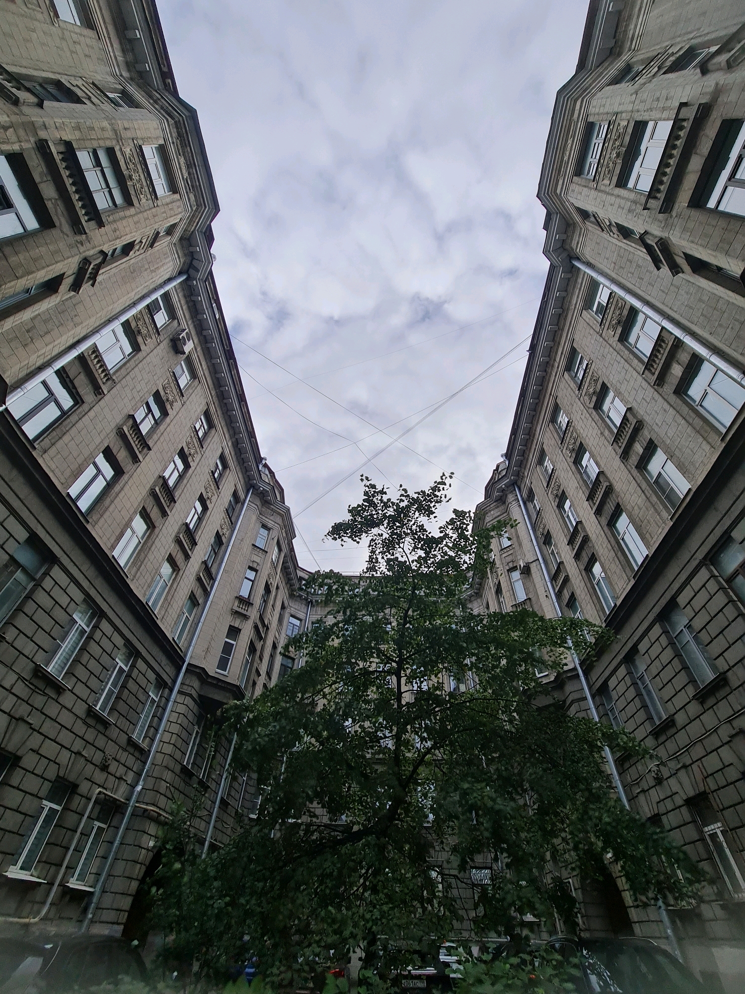 This is a low-angle, wide-shot photograph taken in Saint Petersburg, Russia, looking up into a courtyard surrounded by tall, historic buildings. The buildings are constructed of grey stone blocks and feature multiple stories with numerous windows. Decorative architectural elements, such as cornices and relief carvings around some windows, are visible. A large, leafy tree with dark green foliage occupies the center of the frame, reaching upwards between the buildings. The sky above is overcast with grey clouds, and several thin wires are strung across the sky, crisscrossing above the tree. The perspective is dramatic, emphasizing the height of the buildings and the enclosed nature of the courtyard.
