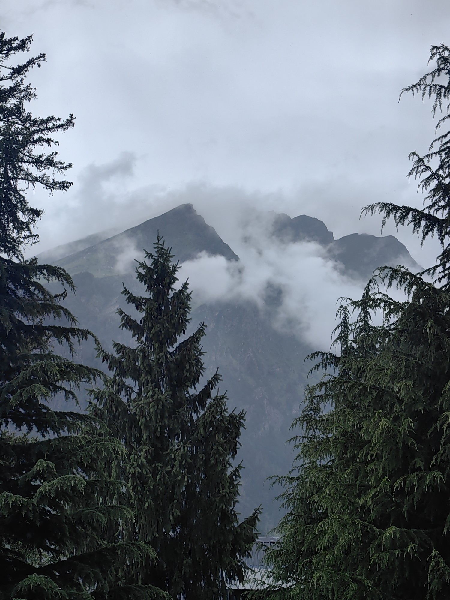 An overcast sky looms over a mountainous landscape, shrouded in mist and clouds. In the foreground, dense evergreen trees frame the scene, their dark green needles contrasting with the muted tones of the mountains. The trees are varied in type and density, with some appearing taller and more dominant, while others are more sparse, allowing glimpses of the distant peaks. The mountains themselves are rugged and imposing, with their summits partially obscured by the swirling clouds, hinting at their scale and grandeur. The overall atmosphere is serene and slightly mysterious, evoking a sense of remoteness and natural beauty. The image appears to be taken from a viewpoint that overlooks a valley or a lower elevation, with the mountains rising majestically in the background. The scene suggests a temperate or alpine climate, possibly during a season with frequent cloud cover or fog.