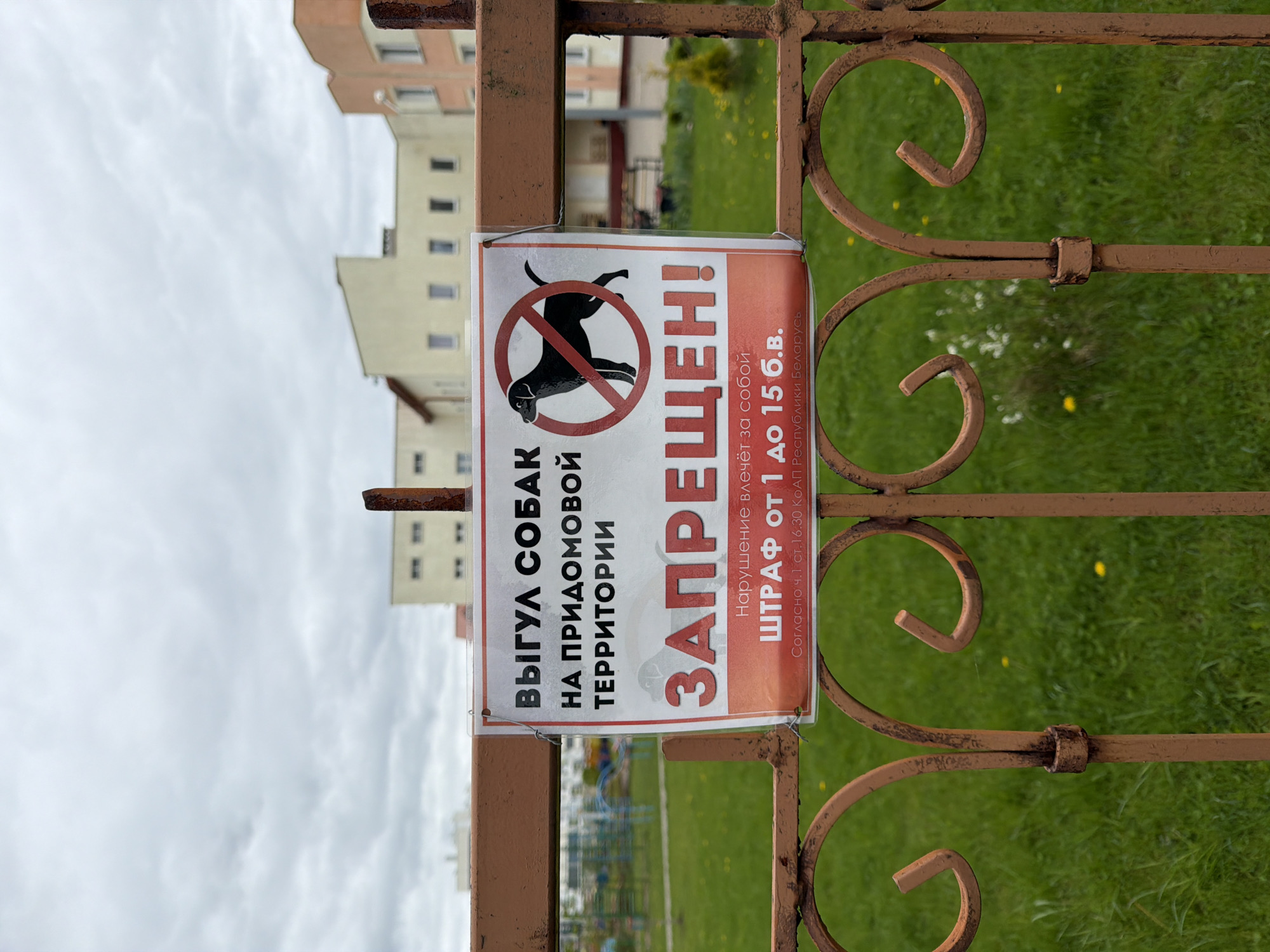 The image depicts a sign prohibiting dogs on the property. The sign is attached to a rusty brown metal fence. The sign features a black silhouette of a dog within a red circle with a diagonal line through it, indicating a "no dogs" restriction. Text in Cyrillic script states that dog walking is prohibited on the adjacent territory. Violation of the rule incurs a fine. The background behind the fence shows a building with multiple windows and green grassy areas with occasional yellow flowers. The sky is overcast with gray clouds. The location appears to be a residential or park-like setting.