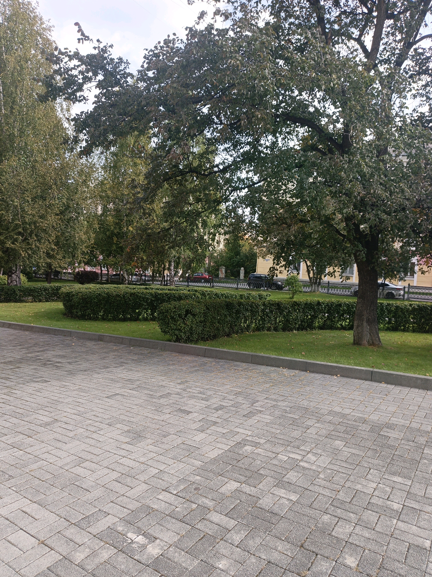 An outdoor, medium-angle, eye-level shot captures a paved walkway in the foreground, leading into a green lawn bordered by manicured hedges. Beyond the hedges, a dark metal fence delineates the area, with a street and buildings visible in the background. Several cars are parked along the street. Trees, some with dense green foliage and others with sparser branches, are scattered throughout the scene, with one prominent tree trunk on the right side of the frame. The sky is overcast with some patches of blue. The overall impression is of an urban park or public space. The location is identified as Satka, Russia.