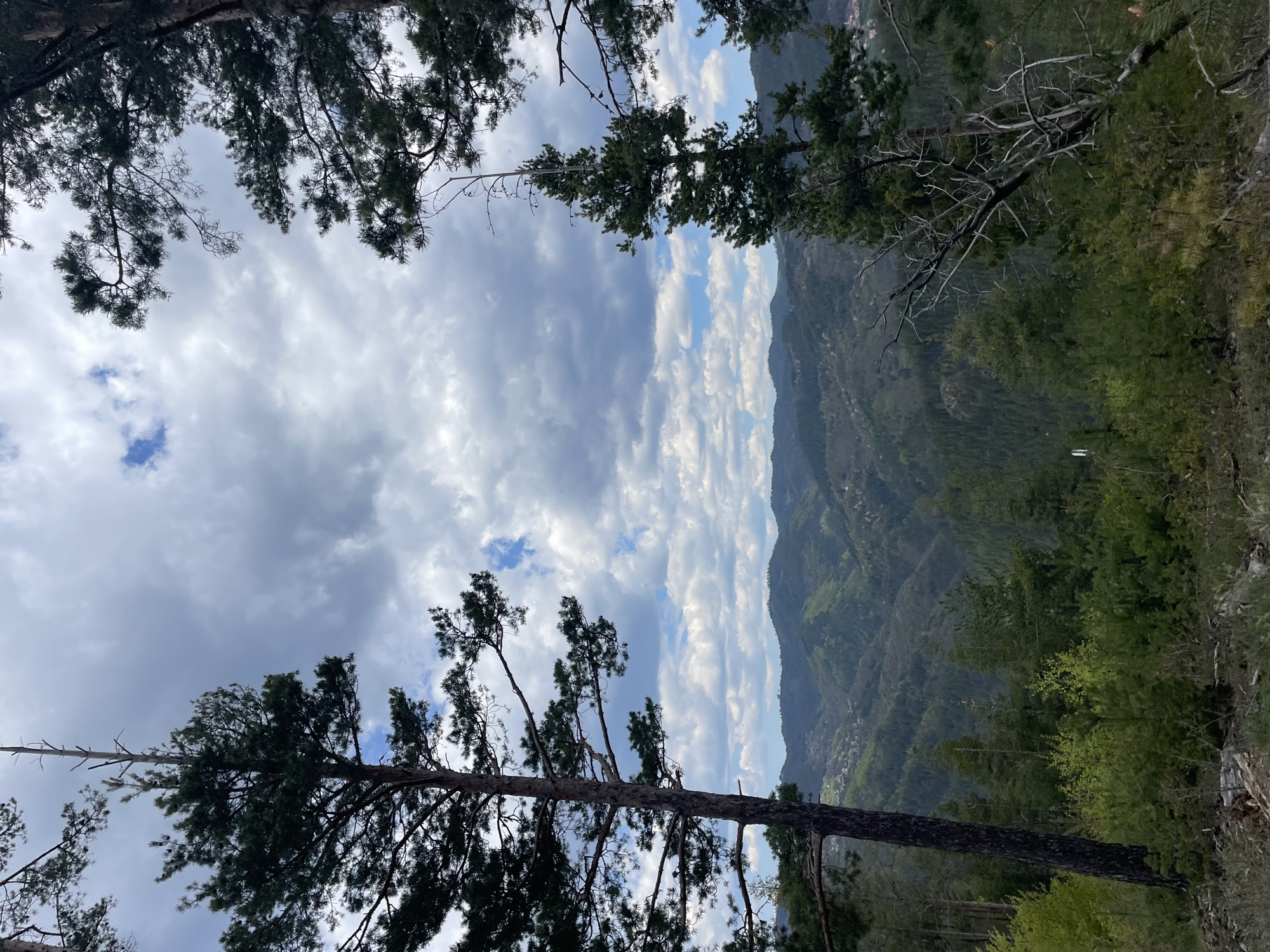 The image depicts a mountain scene in Gradat, Bulgaria. The perspective is looking upwards through trees towards a mountain range and a cloudy sky. The trees frame the view, with their branches and foliage visible in the foreground. The mountains in the background are covered in green vegetation. The sky is filled with a mix of grey and white clouds, with patches of blue visible.
