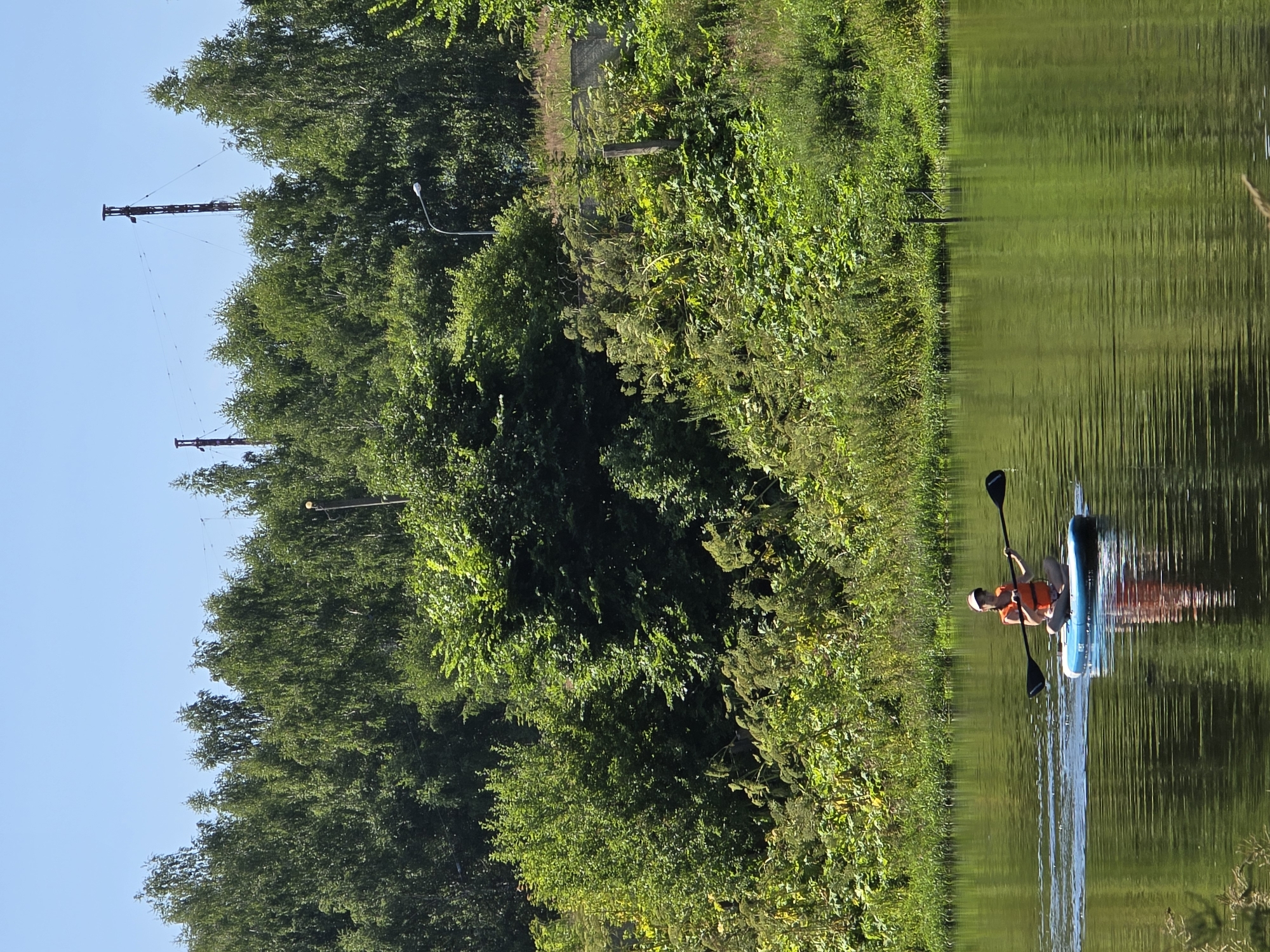 An individual is paddleboarding on a calm body of water, with dense green foliage and trees lining the background. The person is seated on a blue paddleboard, wearing an orange life vest and a visor. They are holding a paddle, with the blade submerged in the water. The water reflects the surrounding greenery and the blue sky. In the distance, several tall metal towers with wires are visible above the tree line. The environment appears to be a natural setting, possibly a park or a nature reserve within or near the city of Voinskaya Chast' Mchs, Russia.