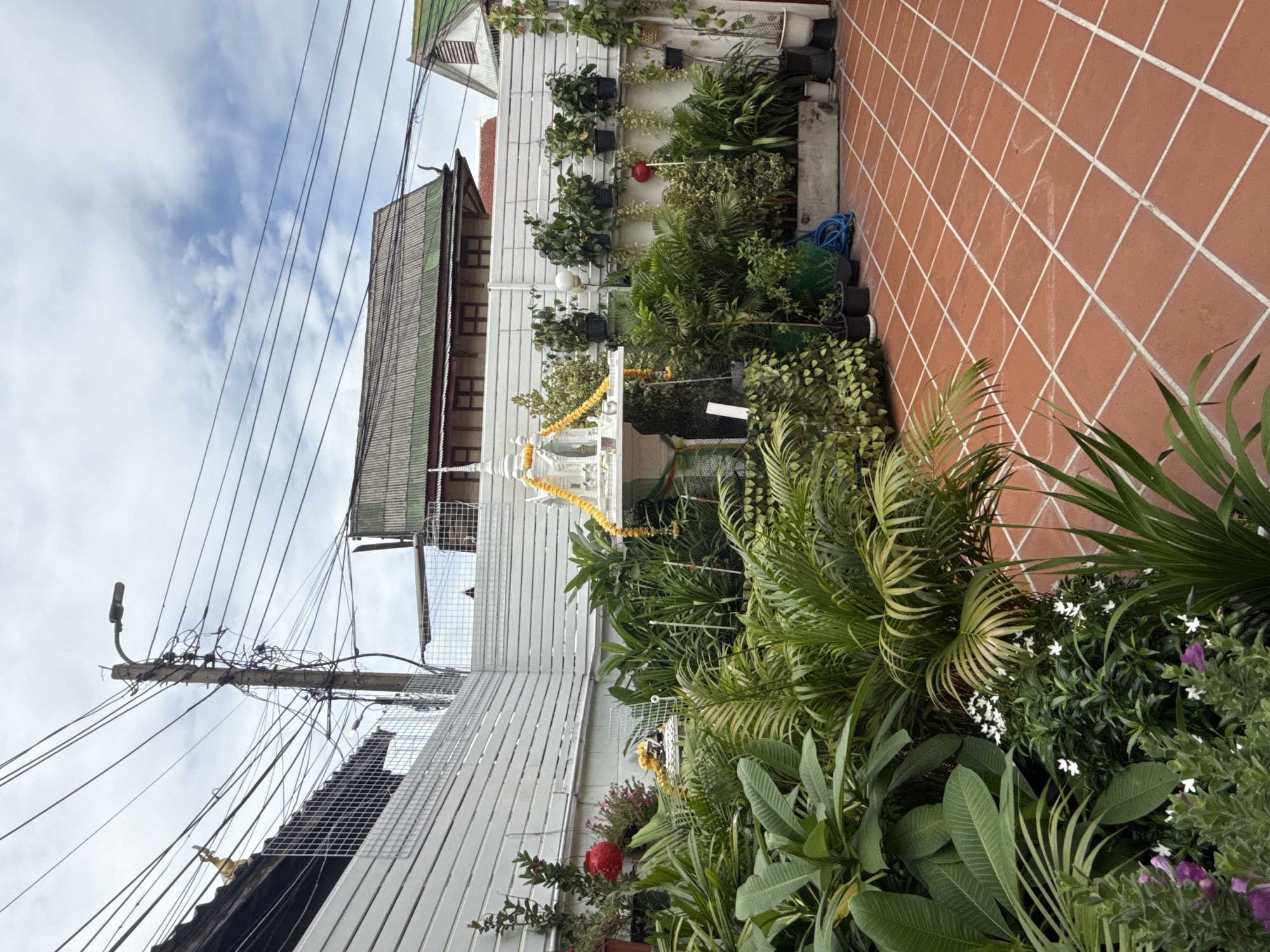 In Bangkok, Thailand, a courtyard is pictured with terra cotta tiles, lush green plants, and a white shrine with yellow garlands. The shrine is adorned with a spired roof, typical of Thai spirit houses. A white wooden fence encloses the courtyard, with various potted plants and climbing vines arranged along it. In the background, traditional Thai buildings with corrugated metal roofs are visible, along with utility poles and a tangle of electrical wires, characteristic of urban streetscapes in Bangkok. The sky is partly cloudy, suggesting daytime.