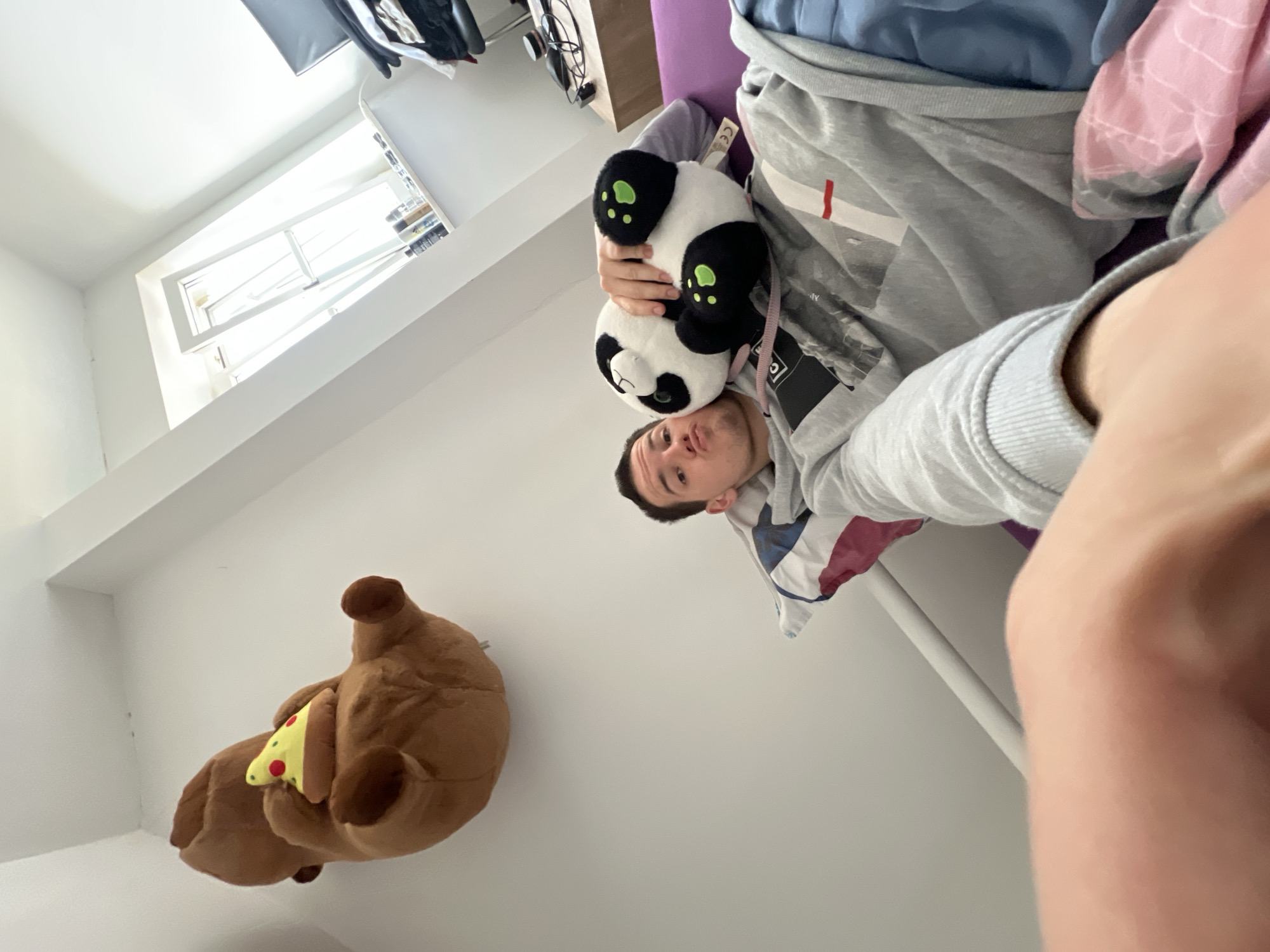 The image, oriented sideways, appears to be a selfie taken in what seems to be an indoor environment. The subject is holding a panda plush toy in front of themself. A brown bear plush toy with a slice of pizza is mounted on the wall in the lower left corner of the frame. A window is visible in the upper left corner. The setting is possibly in Benningen, Germany, though specific city context is not discernable within the image itself. The individual is wearing a grey hoodie. Other details in the background are obscured or out of focus.