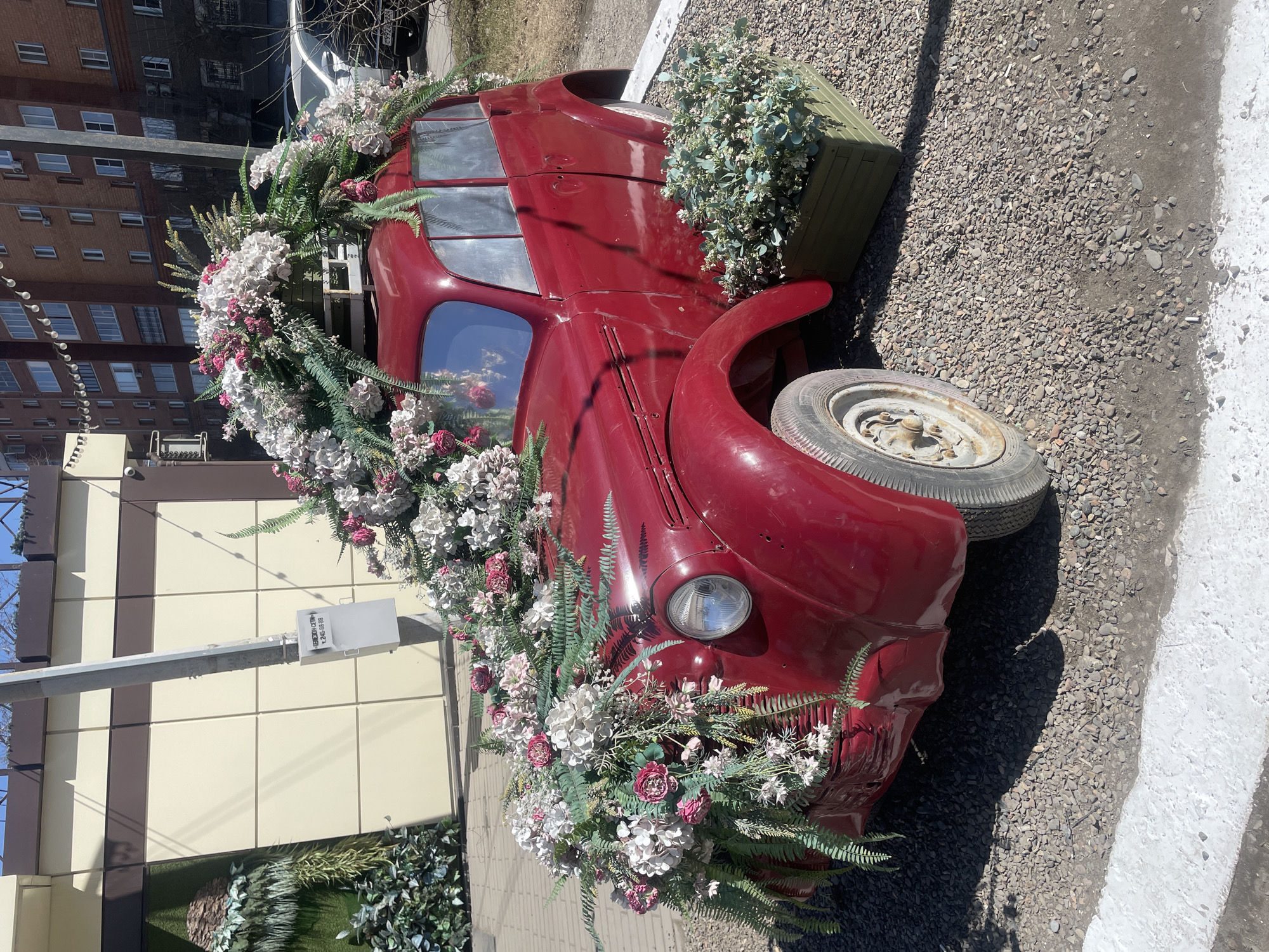 The image captures a vibrant, sunny outdoor scene featuring a vintage red car, likely a truck or utility vehicle, repurposed as a decorative planter. The vehicle is heavily adorned with an abundance of artificial flowers in shades of white, pink, and dark red, interspersed with lush green fern-like foliage. These floral arrangements cover the front hood, windshield area, roof, and sides of the vehicle, creating a whimsical display. A green wooden planter box filled with additional greenery is visible in the truck bed towards the rear.
The car is parked on a gravel surface, with a worn, dusty white line painted on the ground beside it, suggesting a parking or boundary area. The single visible wheel, located at the rear on the driver's side, appears old and rusty.
In the background, there are buildings of varying architectural styles. To the left, a multi-story building with numerous windows and brick-like facade elements is visible. To the right, a building with light-colored paneling and darker brown vertical accents stands. A utility pole or beam extends into the frame from the left, with a white rectangular box attached to it. On this box, some Cyrillic text is visible, followed by the numbers "246 88 88."
The strong shadows cast by the vehicle and other elements indicate bright daylight, likely mid-morning or afternoon, under clear skies. The overall impression is one of an artful, charming street decoration in an urban or suburban setting in Krasnoyarsk, Russia.