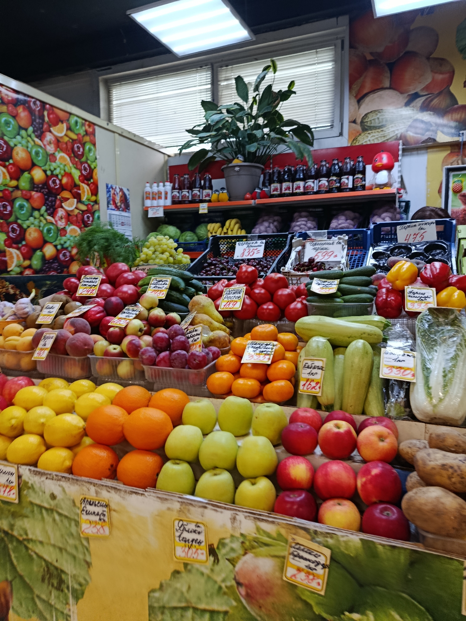 This is a medium shot, eye-level, slightly upward-angled photograph of a produce stall in what appears to be an indoor market, possibly in Orekhovo-Zuyevo, Russia. The stall is overflowing with a vibrant display of fresh fruits and vegetables, artfully arranged on tiered shelves and in baskets.
Dominating the foreground and mid-ground are various fruits, including bright yellow lemons, juicy oranges, and a variety of red and yellow apples. Behind these, plums and other red fruits are visible. Further back, a selection of vegetables is displayed, including green cucumbers, bell peppers in red and yellow, and large, light green zucchini. A head of napa cabbage, wrapped in plastic, is prominently placed on the right side of the stall.
Various handwritten price tags, displaying Cyrillic text and numbers, are attached to the produce, indicating prices such as "244", "835", "1983", "475", "330", and "162". The background reveals more of the market setting, with shelves stocking bottled beverages, a decorative fruit mural on the wall, and overhead fluorescent lighting. The overall impression is one of abundance and freshness, typical of a bustling local market. No people are clearly visible in the frame. The scene is well-lit, suggesting it's likely daytime.