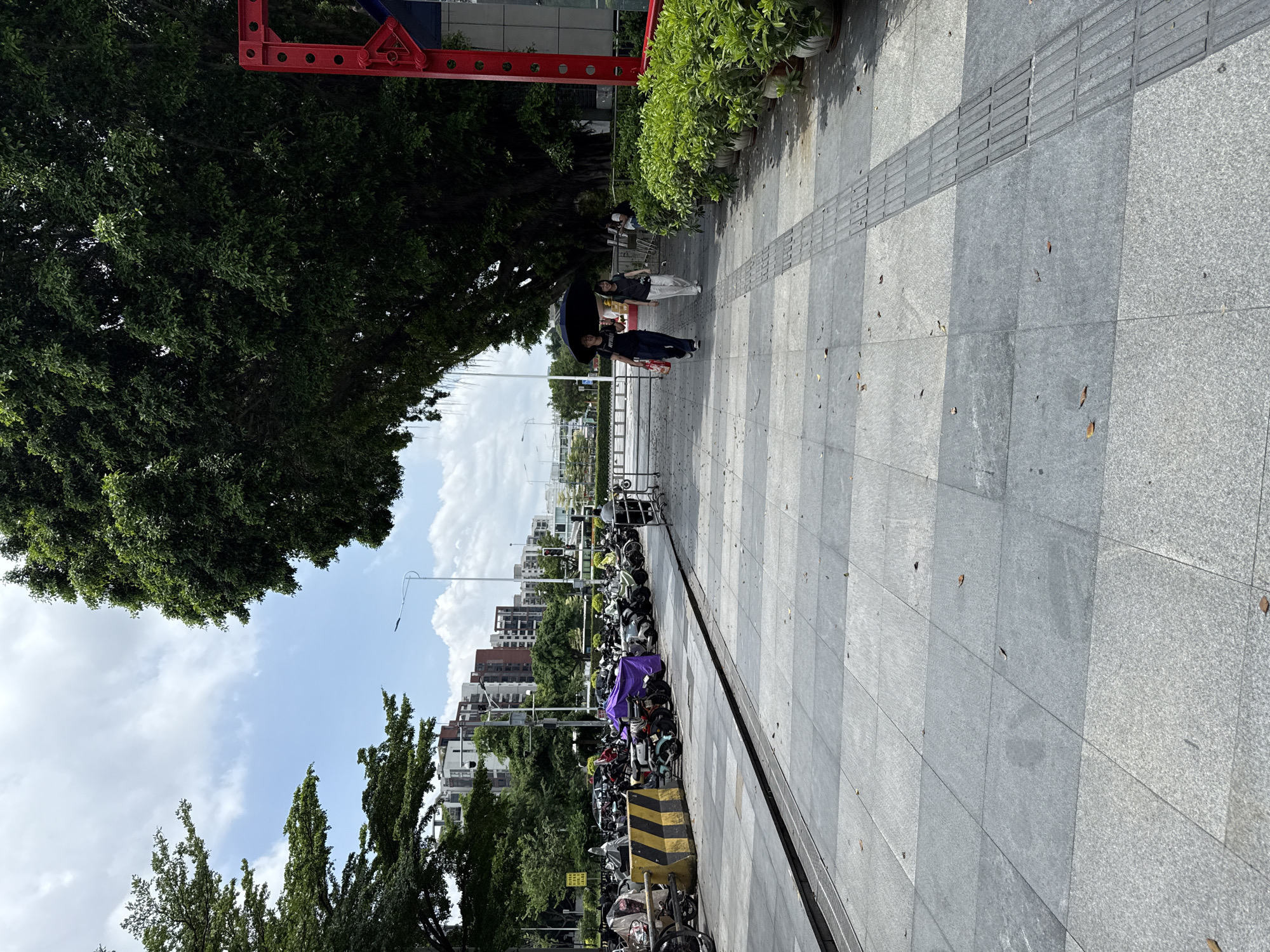 This is a wide, eye-level shot of a pedestrian walkway in Haizhu District, China. The walkway is paved with large, gray granite tiles and features a textured tactile paving strip along the right side. To the left, a row of parked motorcycles is visible, some covered with tarps, behind a yellow and black striped barrier. In the background, apartment buildings rise up behind a line of trees and streetlights. A large, leafy tree dominates the right side of the frame, its branches extending over the walkway. Two women are walking away from the camera on the walkway; one carries a black umbrella, and the other is looking towards her. Several potted plants with green foliage are arranged along the right edge of the walkway. The sky is partly cloudy.