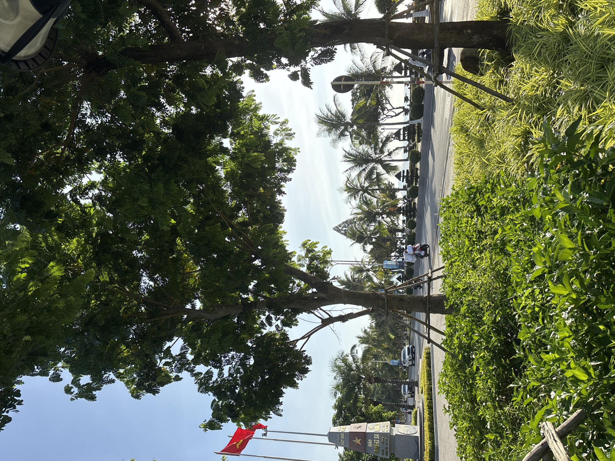 The image shows a street scene in Nha Trang, Vietnam, on a clear day with bright sunlight. In the foreground, lush green bushes and ornamental grasses are neatly planted. Behind them, a paved road runs horizontally across the frame. Two large trees with dense green foliage are prominent in the mid-ground, one on the right and another slightly left of center, with their trunks supported by wooden stakes.
To the left of the road, a tall monument with Vietnamese text and a star is visible, adorned with two red flags on flagpoles. Several cars and a scooter with a rider are on the road. In the background, a line of palm trees and other tropical vegetation runs along the side of the road, leading to the ocean which is visible in the far distance. The sky is a clear, bright blue. Streetlights and some decorative elements are also visible along the roadside. The scene depicts a well-maintained urban environment with a tropical coastal ambiance.