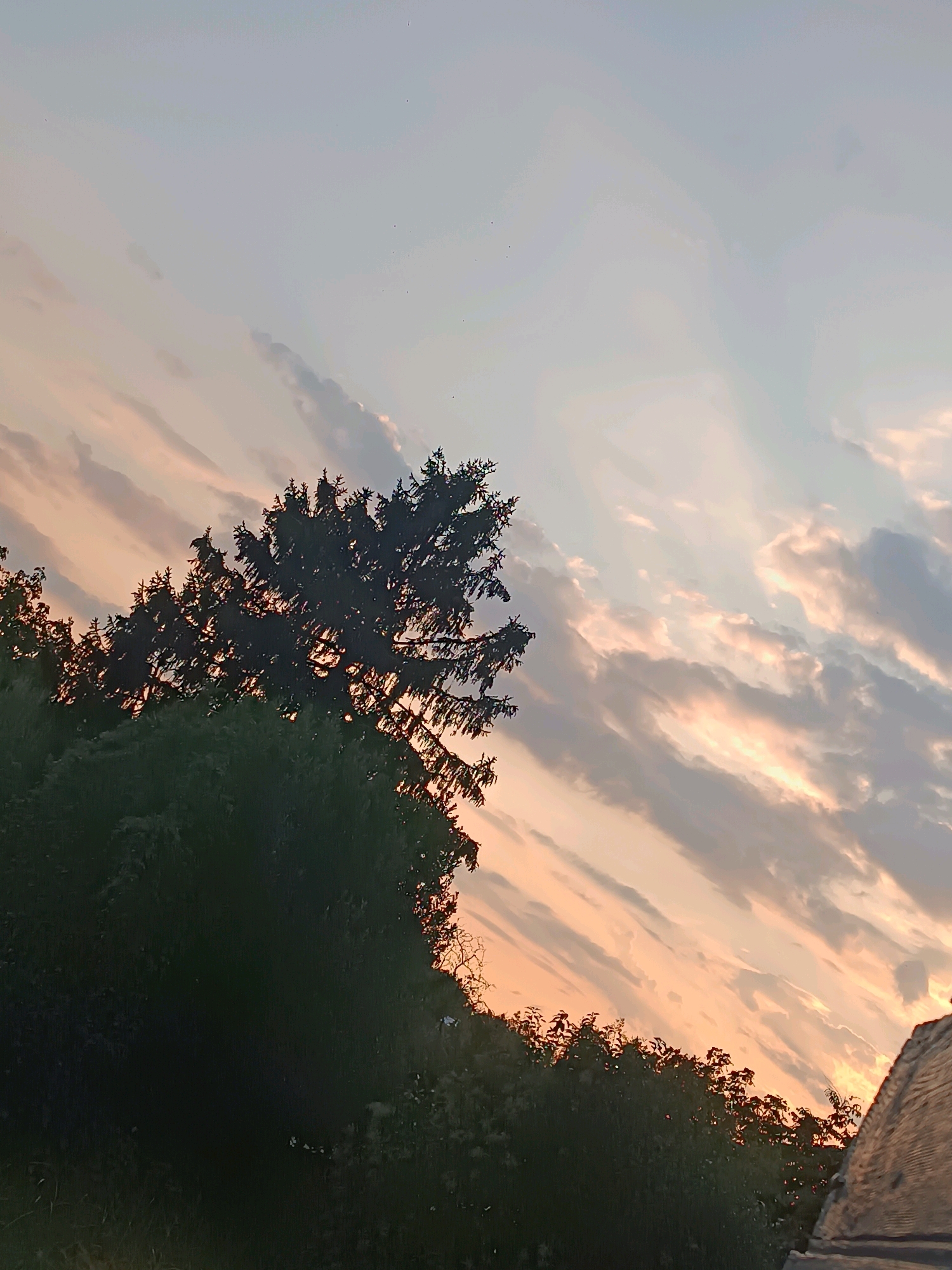 The image shows a sky at dusk with a silhouette of trees in the foreground. The sky is filled with clouds, some of which are illuminated by the setting sun, creating a warm, orange and pink hue. The clouds are streaky and layered, suggesting movement and depth. In the lower left and center of the image, the dark green foliage of trees is visible, with a prominent evergreen tree in the upper center, its branches silhouetted against the sky. The overall impression is a peaceful, natural scene. The image does not provide any specific landmarks or details that would allow for precise localization within Viadana, Italy.