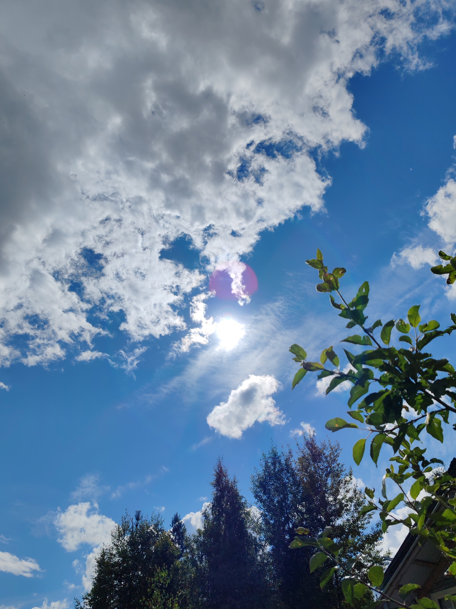 A low-angle shot captures a bright, sunny sky with scattered clouds and tree branches in the foreground. The sun is visible in the upper center, partially obscured by clouds, and creates a lens flare effect. The sky is a vibrant blue, with wispy cirrus clouds and larger, puffy cumulus clouds. In the lower part of the image, the dark green foliage of tree branches extends into the frame from the right and left. The lower edge of a building with a gray roof is visible on the right. The image appears to be taken outdoors in a natural setting, possibly a park or backyard in Чухлэм, Russia, given the presence of trees and a residential building. No people or animals are present. The scene depicts a clear, day with good visibility.