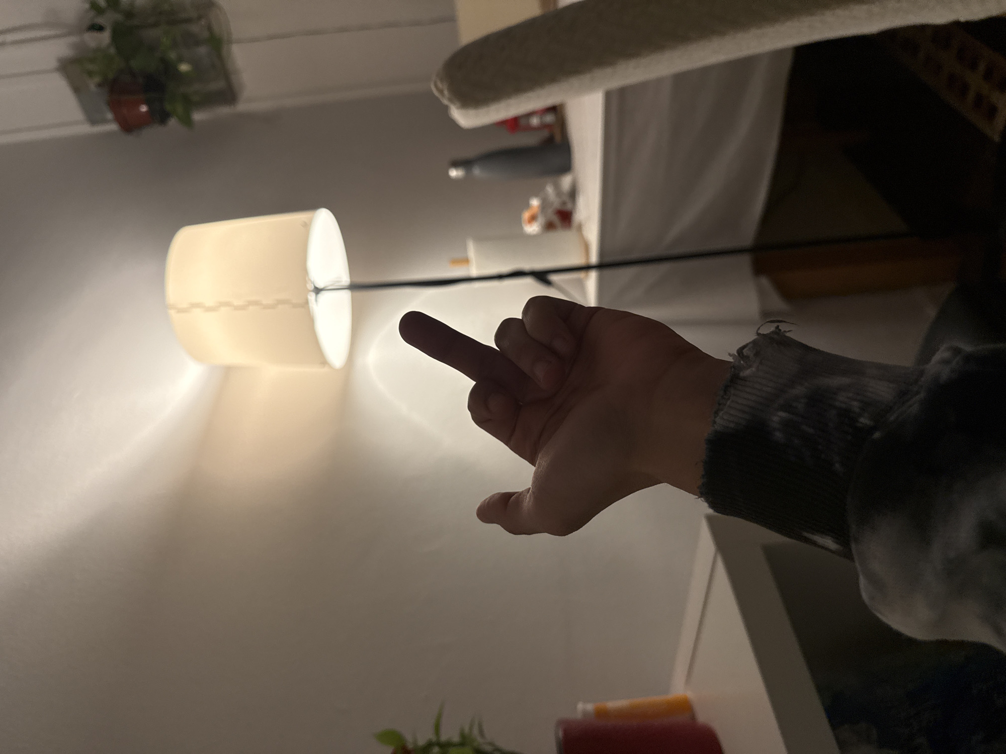 A photograph shows a hand displaying the middle finger, pointed towards a lit lamp. A plant hangs on the wall in the upper left corner. Other objects are visible in the background, including what appears to be a bed or couch. The exact location and its connection to Barcelona, Spain, are not discernible from the image.