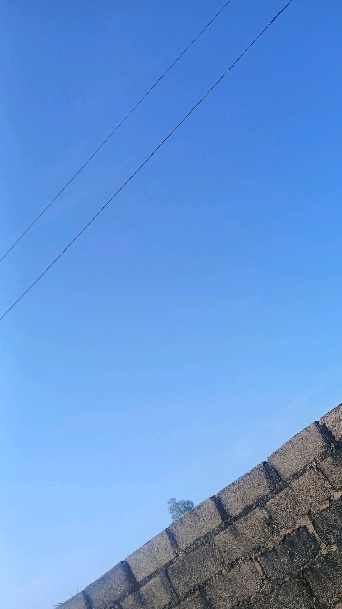 A clear blue sky stretches across the upper portion of the image, bisected by two thin, dark wires running diagonally from the upper left corner towards the right. In the lower right section of the frame, a textured, grey brick wall extends upwards and to the left, creating a diagonal line against the sky. A small, green tree with sparse foliage is visible peeking over the top of the brick wall. The scene appears to be an outdoor view, possibly from a rooftop or elevated vantage point.