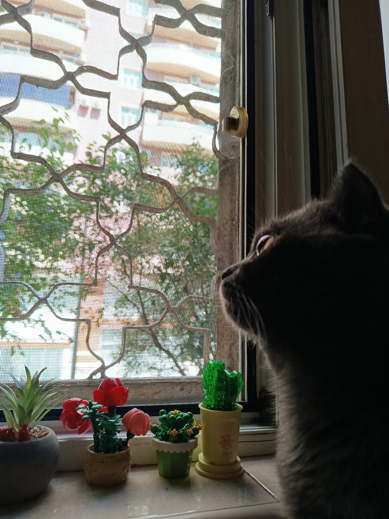 A dark grey cat with bright orange eyes is silhouetted against a window, looking to the right. In the foreground, on the windowsill, are several small, potted artificial plants: a green succulent in a grey pot, a rose plant with red and pink blooms in a tan pot, and a green cactus with yellow flowers in a white and green pot. The window is covered by a screen with an ornate, metal decorative grill. Through the screen, a multi-story building with balconies and windows is visible, along with green trees. The scene appears to be set in an apartment in Baku, Azerbaijan.