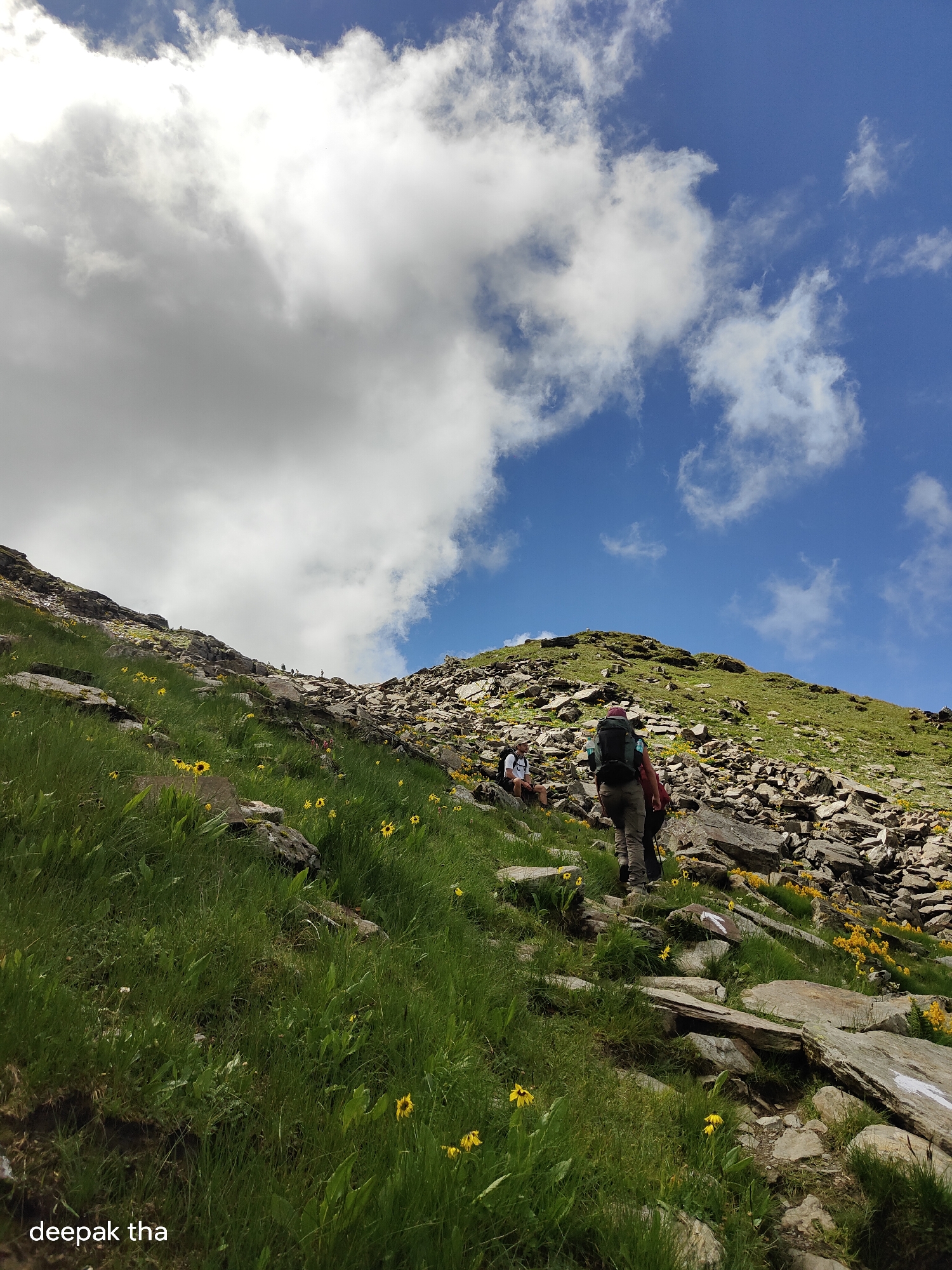 This is a low-angle, wide shot of a rocky mountain trail with lush green grass and yellow wildflowers. Several hikers, appearing to be on an ascent, are scattered along the path. One hiker in the foreground is wearing a large backpack and walking away from the camera. The sky above is a bright blue, dotted with fluffy white clouds. The scene suggests a hike in a mountainous region, possibly in the vicinity of Bashisht, India, given the presence of mountainous terrain, clear skies, and vegetation.