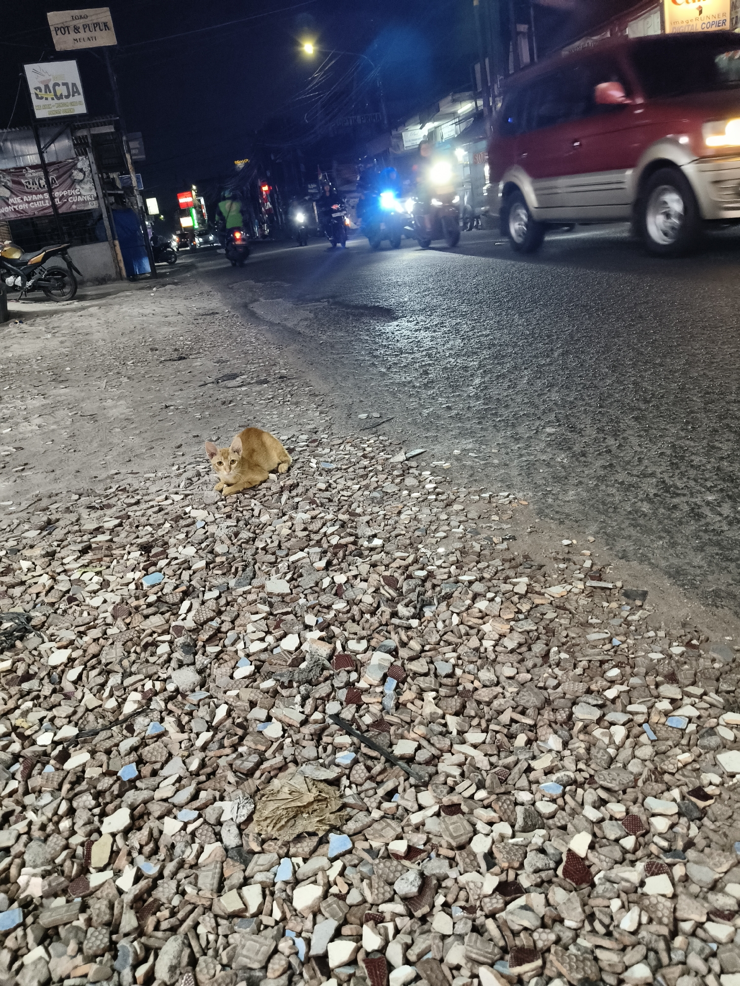 A ginger cat is lying on a pile of broken tiles on the side of a busy street at night in Pamulang, South Tangerang, Indonesia. Traffic is moving on the wet asphalt road, with car headlights and taillights visible. Several motorcycles and a red SUV are in motion. Buildings and signs are dimly lit in the background. The cat appears alert, looking towards the camera.