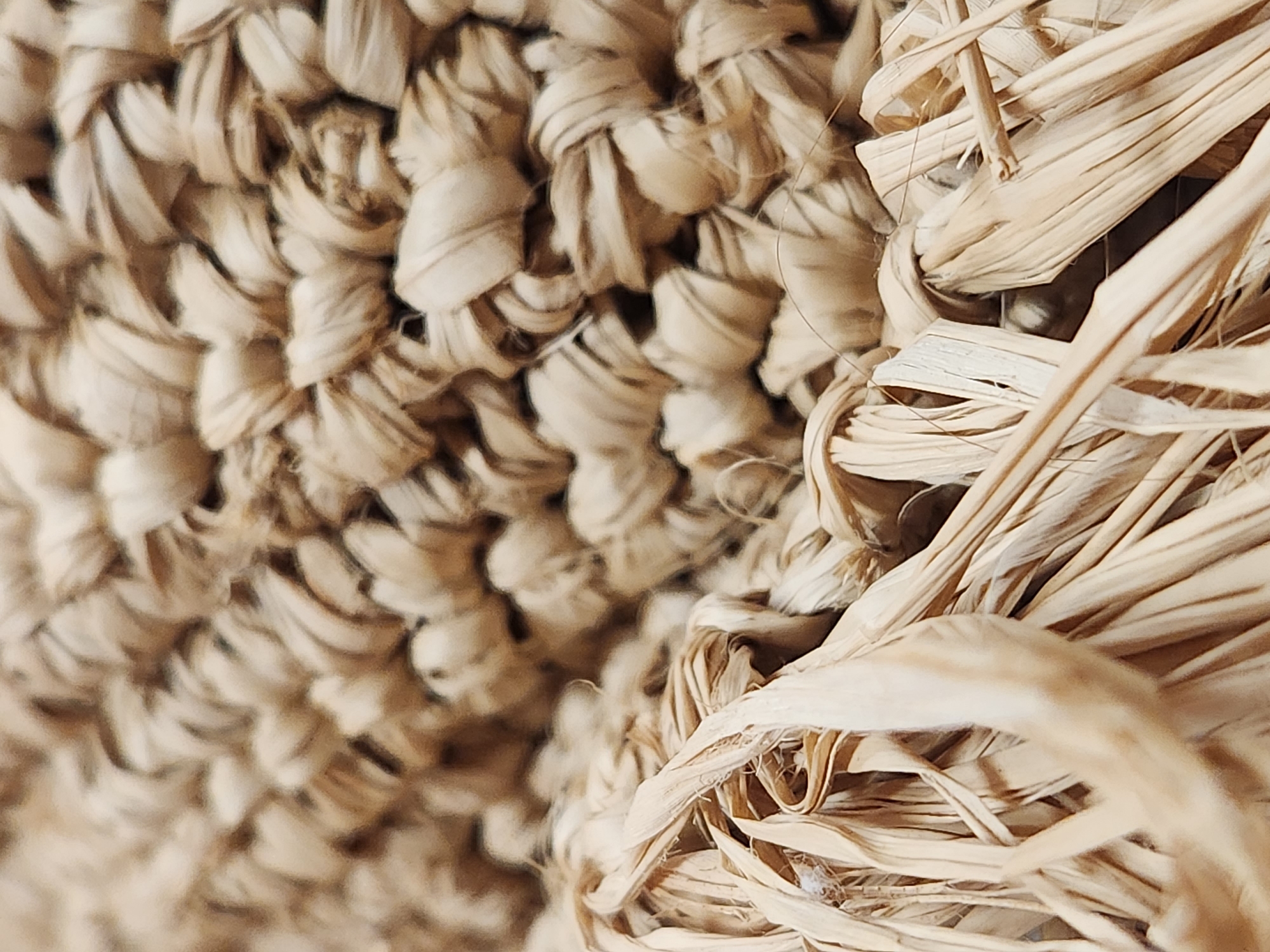 This is a close-up, abstract image of woven natural fibers, likely straw or raffia, used in crafting or basketry. The texture is the primary subject, with a repeating, interlaced pattern visible on the left side of the frame, and looser, more frayed strands on the right. The colors are entirely in shades of beige and light brown, suggesting natural, undyed material. The lighting is soft and diffused, creating subtle shadows that highlight the dimensionality of the weave. There is no discernible activity or event taking place; the image appears to be a still life focusing on the material itself. There are no visible people, text, or clear location cues beyond the general context of natural fiber crafts. The overall impression is one of natural texture and rustic aesthetics.