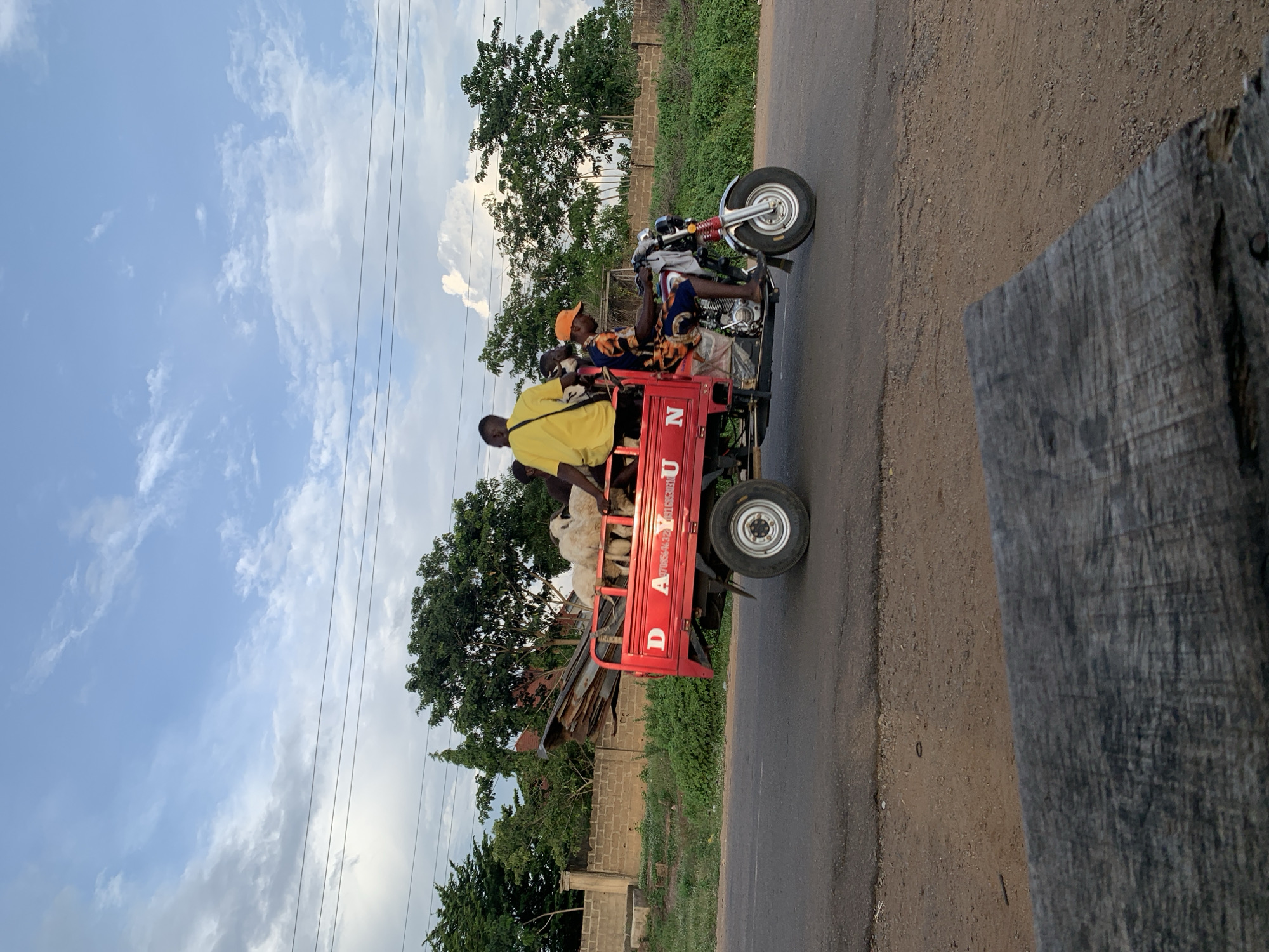 This image captures a red "DAYUN" branded motorized tricycle in motion on an asphalt road in Gbeleko, Nigeria. The vehicle is viewed from a slightly elevated perspective, moving from left to right across the frame. The tricycle's cargo bed is occupied by at least three white-fleeced sheep and several pieces of corrugated metal.
Three adult males are aboard the tricycle. The driver, situated on the motorcycle front, wears an orange cap, a multi-colored patterned shirt, and is barefoot, with his hands on the handlebars. A passenger in a bright yellow t-shirt is seated on the left side of the cargo bed, facing forward. A third individual is partially obscured next to the man in the yellow shirt.
The background features a partially cloudy blue sky traversed by multiple power lines. Below the sky are lush green trees and dense foliage, behind which a concrete block wall is visible. The asphalt road surface appears worn, with a dirt and gravel shoulder to its right. A textured wooden surface occupies the lower foreground, suggesting the photo was taken from an elevated fixed point.