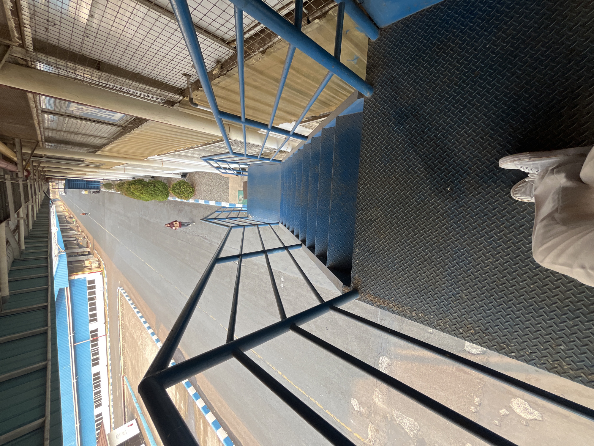 The image depicts an outdoor scene, likely in Pelang, Indonesia, focusing on a set of blue metal stairs leading down. The stairs have diamond plate treads and a blue metal railing. In the foreground, the lower legs and feet of an individual wearing light-colored pants and white sneakers are visible, standing on the top landing of the stairs. Beyond the stairs, a paved area with blue and white border lines stretches into the distance. A person is walking on this paved area, carrying what appears to be a box or container. On the left side of the paved area is a long, low-rise building with a blue roof and white walls, featuring numerous windows. On the right side of the stairs, a building with beige siding and wire-mesh windows is visible. Several small, manicured green bushes are planted along the side of the paved area. The overall environment suggests an industrial or port area.