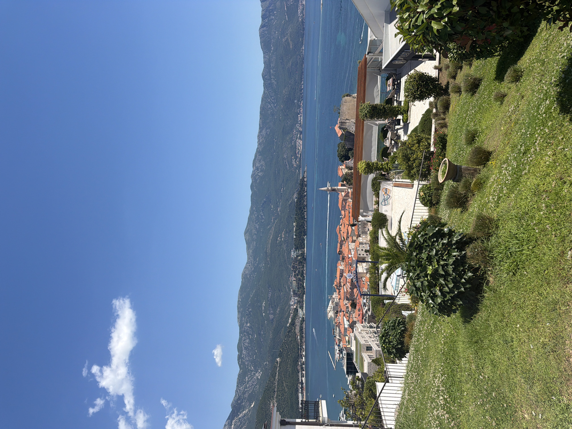 This image captures an elevated panoramic view of Budva, Montenegro, under a clear blue sky.
In the immediate foreground, a green, grassy slope filled with small white flowers and weeds descends towards the mid-ground. Several dark green, manicured bushes, including a large rounded one and a smaller palm tree, are positioned on this slope. A terracotta pot rests on a wooden stump. Dark metal railings define a pathway or steps leading down. To the right, a paved outdoor dining area with tables, chairs, and light-colored pergolas or awnings is visible, flanked by white buildings.
The mid-ground features the historic core of Budva, characterized by numerous buildings with distinct orange terracotta roofs. A prominent church spire rises above the rooftops, and ancient-looking stone fortifications line the waterfront. The town is situated on a peninsula extending into a large, deep blue bay. Several boats, including motorboats and yachts, are scattered across the water; some are docked in a marina, while others create white wakes as they move. More modern coastal development is visible along the bay's distant shores.
The background is dominated by a range of steep, heavily forested mountains, presenting a dark green hue, that stretch across the horizon behind the bay.
The sky, occupying the upper portion of the image, is a vibrant, clear blue, with a few small, scattered white cumulus clouds, predominantly in the upper left. No identifiable people are visible. The scene is brightly lit by natural sunlight, indicating daytime.