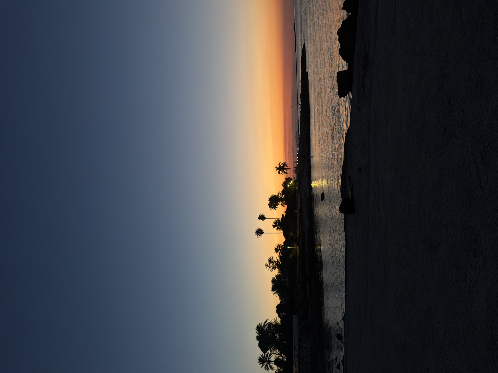 A sunset scene captures the coastal landscape of Rotes, Spain, dominated by a gradient of sky colors transitioning from deep blue to vibrant orange. The silhouette of palm trees and other foliage marks the coastline, with several buildings and streetlights subtly visible amidst the darkness. The calm sea reflects the warm hues of the sunset, creating shimmering patterns on its surface. A dark, sandy beach occupies the foreground, with scattered rocks adding texture to the scene. No individuals or active events are depicted, presenting a serene, twilight view of the coastal environment.