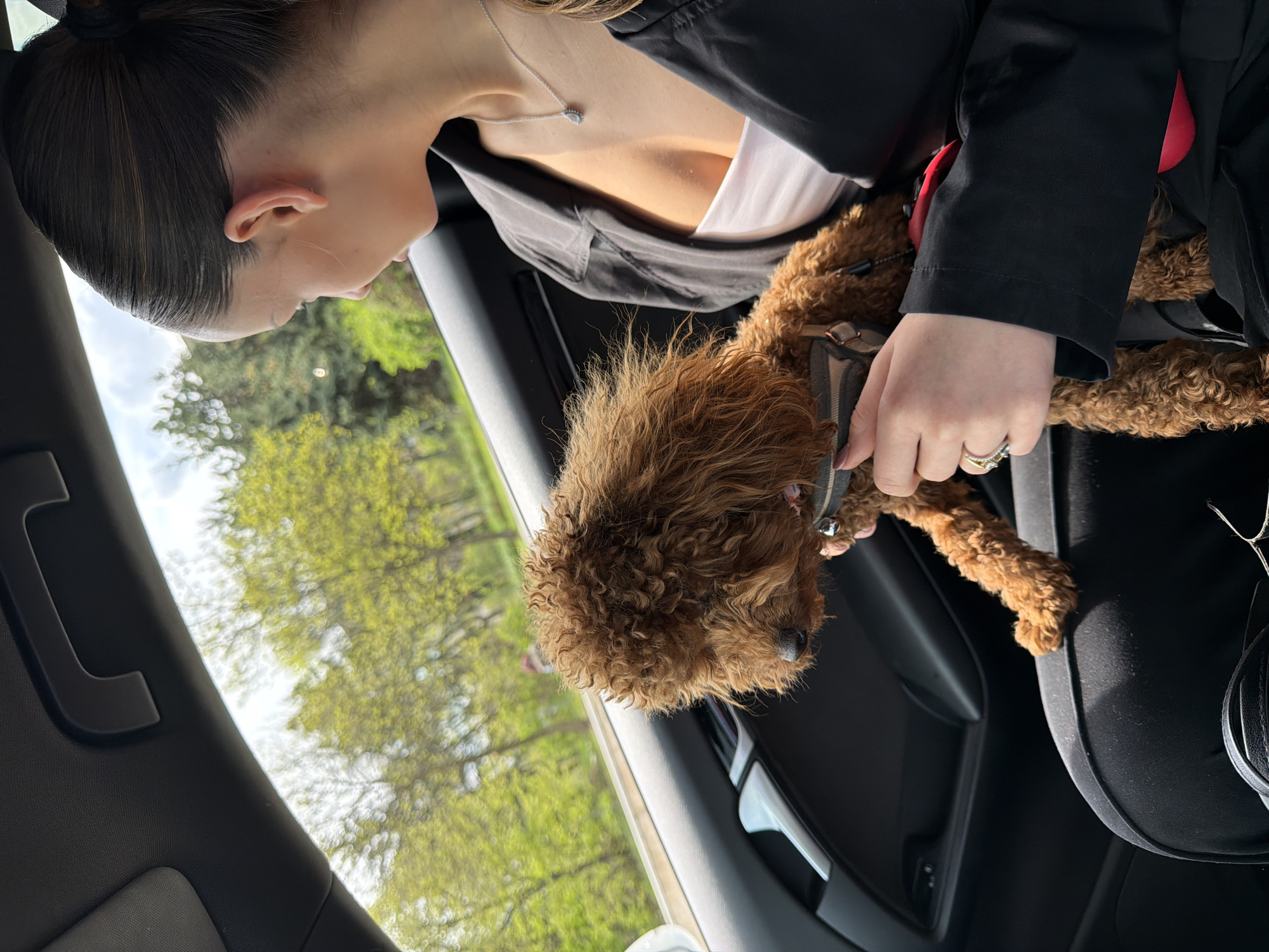 A close-up, high-angle shot captured from inside a car shows a person, presumably a woman, sitting with a small, curly-haired brown dog on their lap or beside them. The image is oriented sideways, with the person's head facing the left and the dog facing the right.
The woman is seen in profile, with her dark hair pulled back, revealing her ear and jawline. She wears a dark jacket over a white top, with a silver necklace featuring a small pendant visible around her neck. Her left hand is resting on the dog, displaying a ring with two bands, one silver and one gold-toned, on her ring finger. Her gaze is directed downwards or towards the front.
The dog, possibly a poodle or similar breed, has thick, curly reddish-brown fur. It wears a patterned harness in shades of grey, brown, and black, with a small, bell-like object hanging from it. The dog appears to be looking towards the car window.
The setting is inside a car, with dark interior panels visible. Through the car window, bright green foliage from numerous trees is visible, suggesting an outdoor, possibly park-like, environment. The bright light and clear visibility of the leaves indicate a sunny day, likely during spring or summer. The overall scene suggests a casual outing with a pet in Sofia, Bulgaria. There is no visible text in the image.