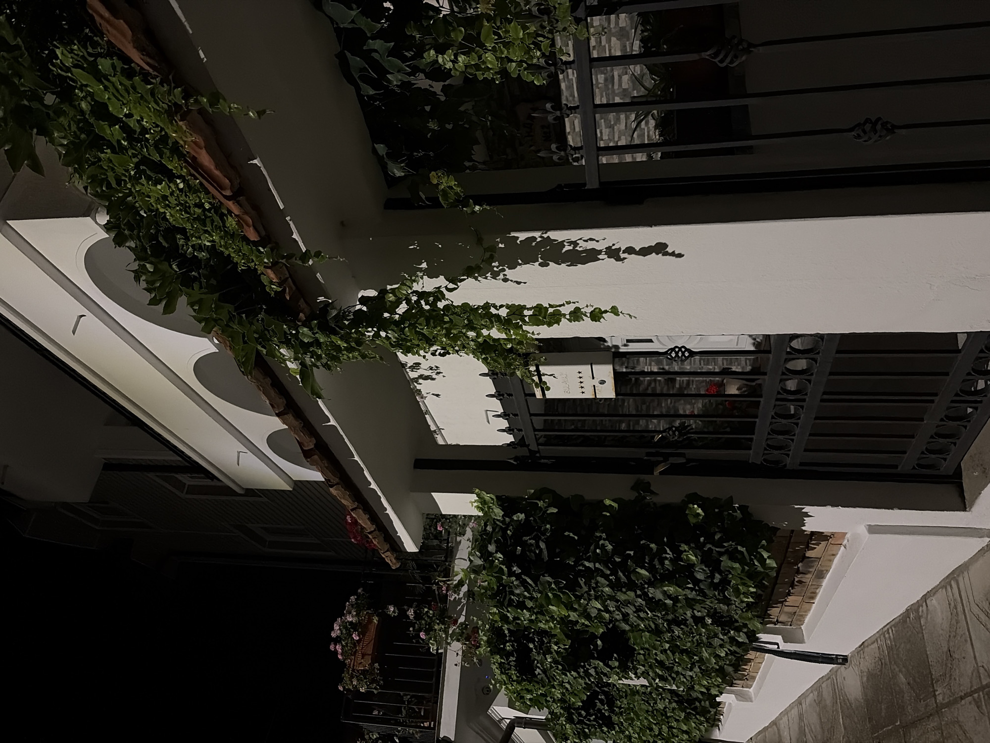 The image depicts the exterior of a building at night, possibly a residence or a small hotel, in Obzor, Bulgaria. The scene is characterized by its illuminated white facade, contrasted with the darkness of the night sky and shadows. Lush green ivy drapes over the roofline and walls, adding a natural element to the architecture. A black wrought-iron gate stands in the foreground, with a white mailbox attached to a pillar. The gate provides a glimpse into a courtyard or garden area, where potted plants can be seen. To the left, a balcony with potted flowers is visible, hinting at the presence of living spaces. The pavement in front of the building appears to be paved with stone tiles. The overall impression is one of a tranquil and well-maintained property, bathed in soft artificial light that highlights its architectural features and vegetation. There are no people visible in the image.