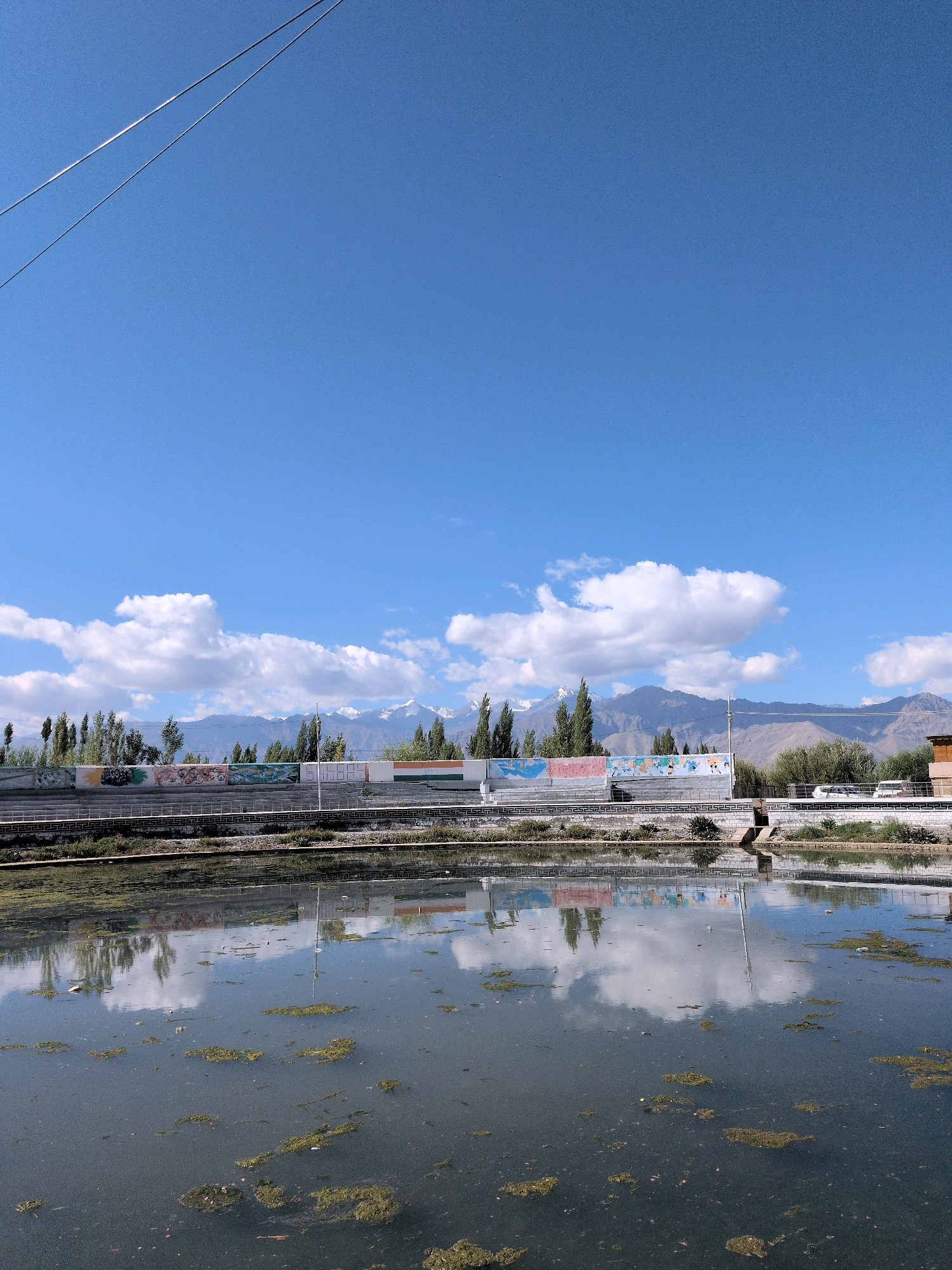 The image shows a tranquil scene with a body of water reflecting the sky and mountains. In the foreground, the water is murky with patches of green algae floating on the surface. The middle ground features a low wall with intricate decorative patterns, beyond which lies a grassy area and a line of trees. A mural, possibly depicting local culture or history, stretches across a wall behind the trees. In the background, majestic snow-capped mountains rise against a clear blue sky dotted with white clouds. A power line is visible in the upper left corner of the frame. The overall impression is one of natural beauty and cultural richness in the city of Leh, India.