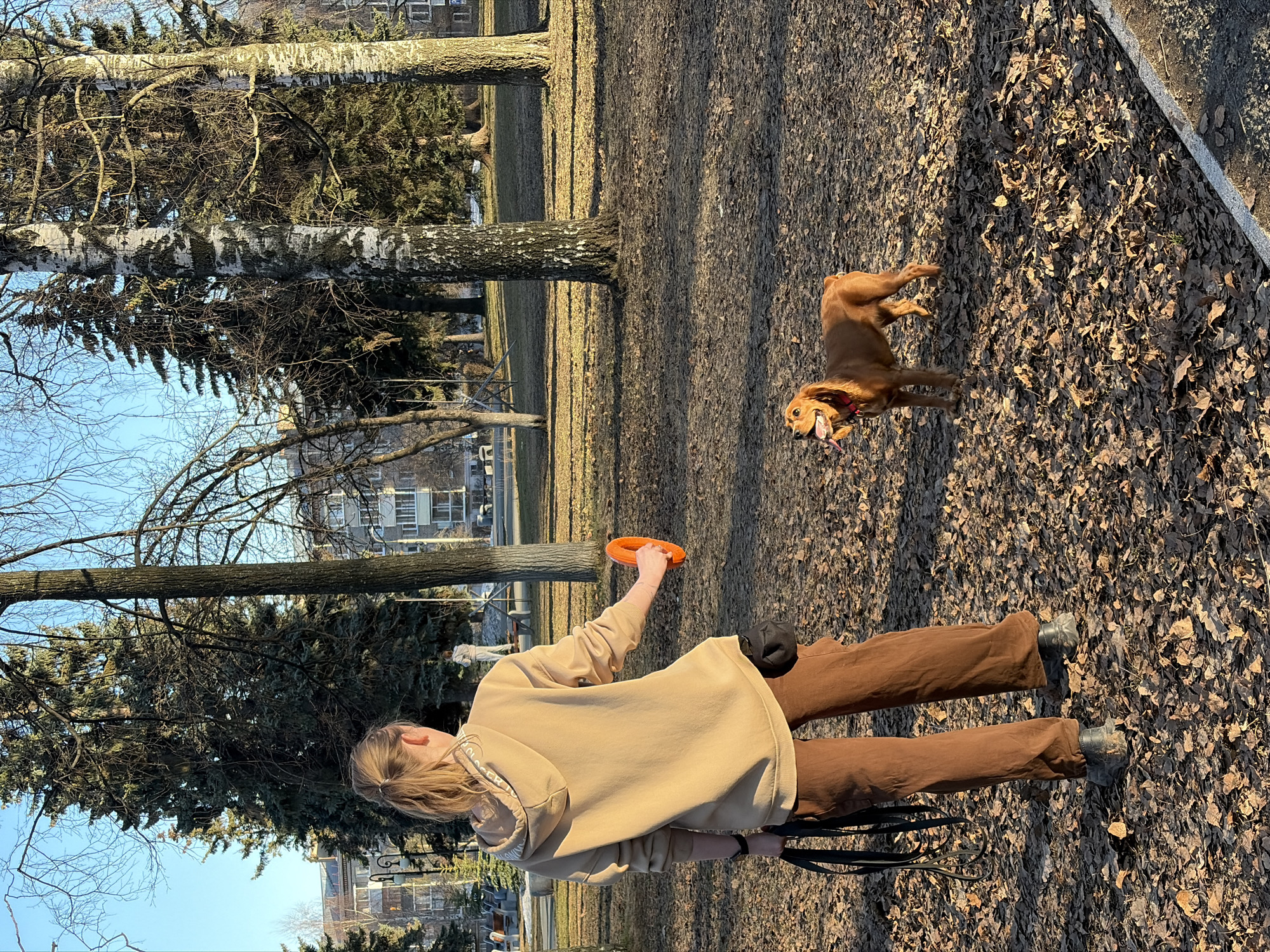 A person is outside with a dog and throwing a frisbee in a park in Izhevsk, Russia. The person is wearing a tan hoodie and brown pants, and the dog is a medium-sized breed with brown fur. The ground is covered in fallen leaves and there are trees in the background. A building can be seen in the background as well.
