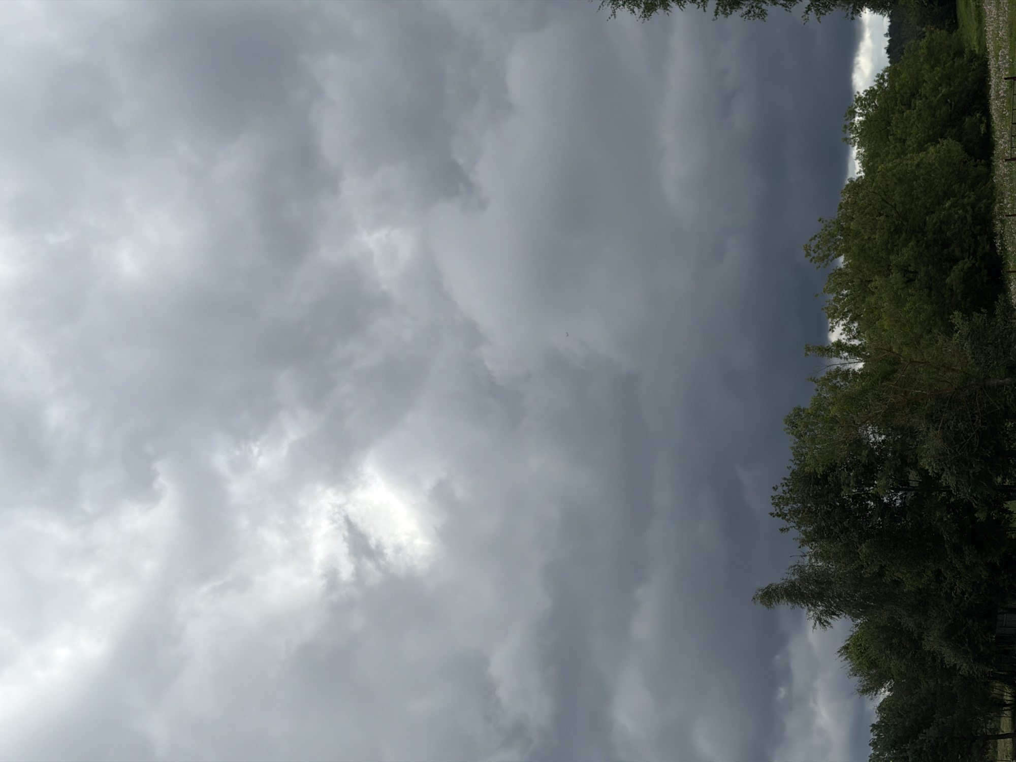 The image depicts a cloudy sky over a rural landscape in Бягомльскі сельскі Савет, Belarus. The sky is filled with dark, ominous clouds, suggesting impending rain or a storm. A patch of lighter sky is visible in the upper portion of the frame. Below the sky, a line of lush green trees extends across the horizon. The trees are dense and varied in height, with some appearing to be swayed by the wind. In the foreground, a field with scattered white flowers is partially visible, along with a dark fence. The overall atmosphere is moody and natural, characteristic of a rural setting in Belarus.