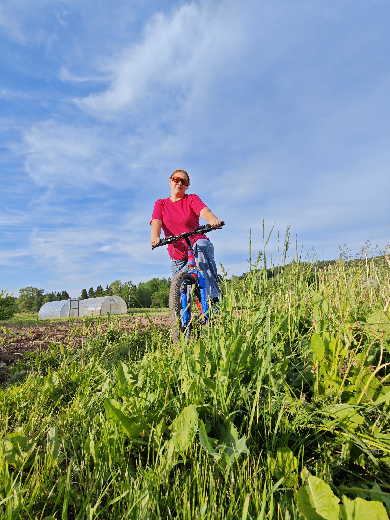 A low-angle, full-shot photograph captures a woman standing with a bicycle in a rural outdoor setting, likely in Фоки, Russia. The woman, with reddish-blonde hair, wears a bright pink t-shirt and dark sunglasses with orange-tinted lenses, looking directly at the camera with a neutral expression. She is positioned behind the handlebars of a mountain bike, which features distinctive blue and red accents on its frame and wheels.
The foreground is dominated by lush, tall green grass and various broad-leafed plants, extending from the bottom of the frame and partially obscuring the lower part of the bicycle. To the left of the woman and the bike, a patch of tilled earth or cultivated garden plot is visible. In the mid-ground, two large, white, tunnel-shaped greenhouses are prominently situated on the edge of the cultivated land. Beyond these structures, a dense line of trees forms a natural horizon, with a gentle hill rising in the far distance.
The sky above is a vibrant blue, adorned with scattered, wispy white cirrus clouds, indicating clear and sunny daytime weather. The bright sunlight illuminates the scene, enhancing the natural colors of the landscape and the subject's attire. The image depicts a moment of pause or preparation during an outdoor activity. There is no visible text in the media file.
