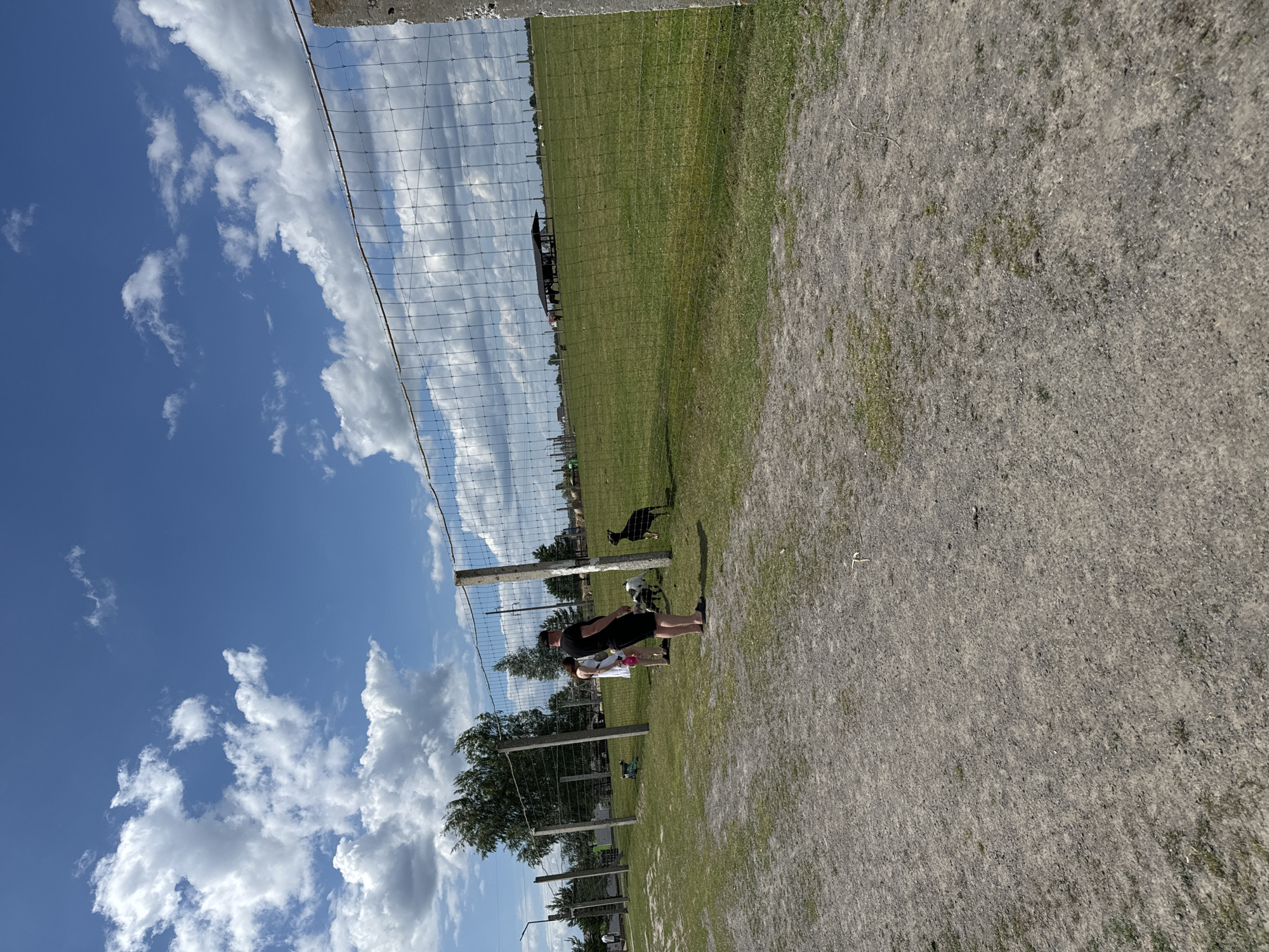 A wide-angle, low-angle shot depicts a sunny day with a bright blue sky filled with fluffy white clouds. The image is oriented vertically. In the foreground, a dirt path runs along a grassy field enclosed by a wire fence supported by wooden posts. A person in a black t-shirt and shorts stands near the fence, holding a bag. Behind them, another person in a white top and shorts is visible. A black animal, possibly a goat or sheep, is standing in the field beyond the fence. Further in the background, there is a dark shelter structure and more of the fenced grassy area, with some trees and buildings on the horizon. The lighting suggests it is daytime. The overall scene appears to be an outdoor animal enclosure or petting zoo.