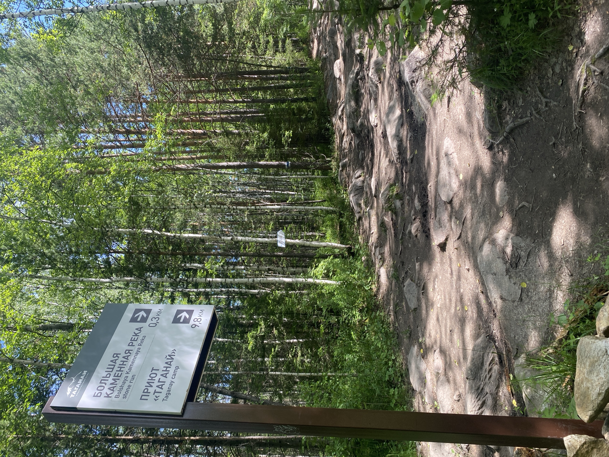 The image depicts a directional signpost in a forest on a sunny day. The signpost, made of dark metal, has two panels with white lettering and directional arrows. The upper panel reads "БОЛЬШАЯ КАМЕННАЯ РЕКА Bolsaya Kamennaya Reka stone run" with an arrow pointing right and the distance "0,3 км". The lower panel reads "ПРИЮТ «ТАГАНАЙ» Taganay camp" with an arrow pointing right and the distance "9,8 км". The background is a dense forest with tall trees, primarily birch and pine, casting shadows on a rocky, dirt path. The path appears to be a hiking trail winding through the forest. The environment suggests a natural park or protected area. The location is identified as being in the city of Zlatoust, Russia, likely within the Taganay National Park given the signage. There are no people or animals visible in the image.
