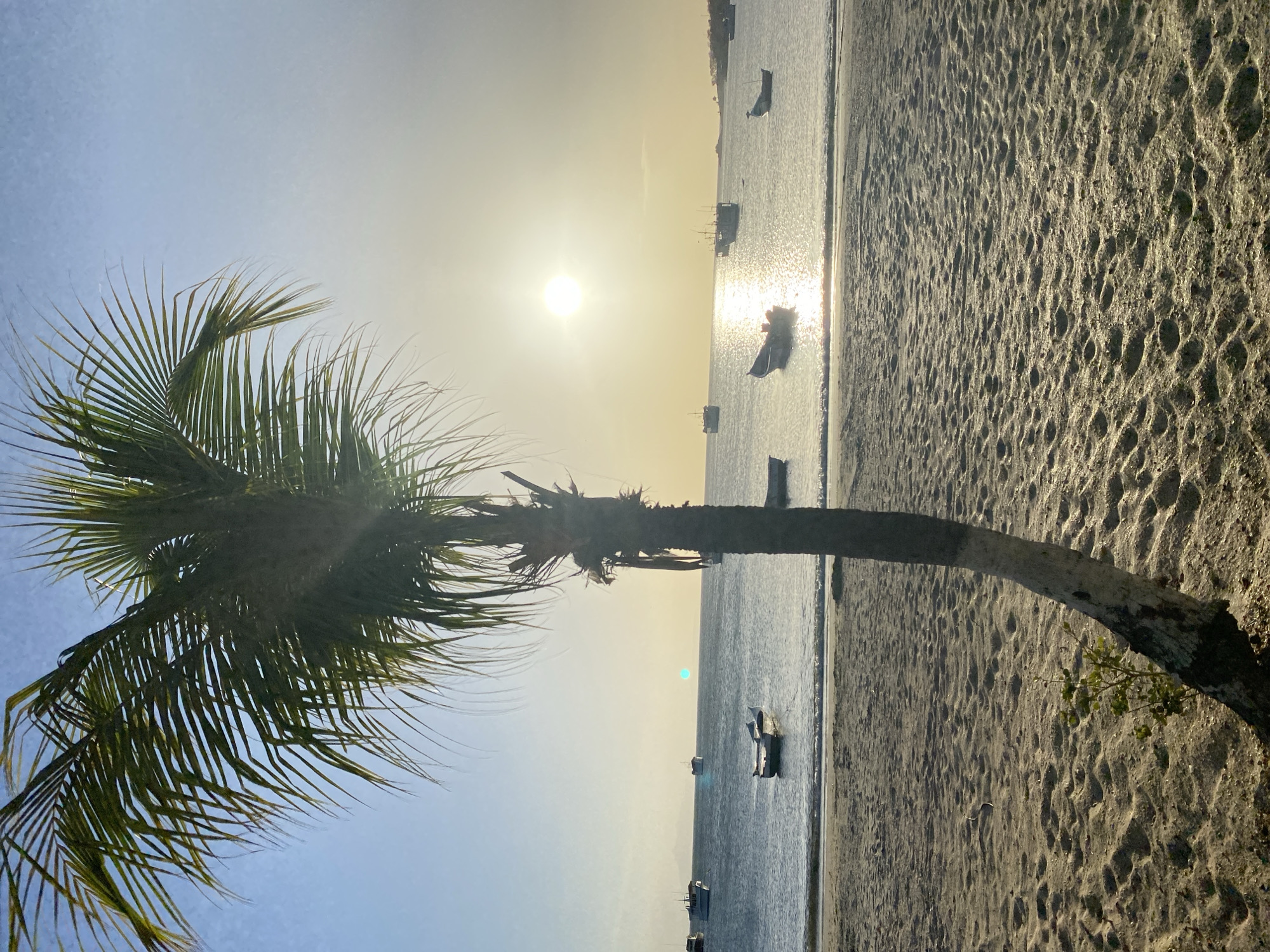 The image depicts a coastal scene in Juan Griego, Venezuela. A palm tree with green fronds dominates the left side of the frame. The trunk is curved and partially obscures the view. The background showcases a sandy beach meeting the ocean. Several small boats are scattered on the water, their positions indicating varying distances from the shore. The sun is visible in the sky, casting a bright glare and illuminating the water surface with a reflective sheen. The sky is a pale blue, transitioning into a yellowish hue near the horizon due to the sun's position. The sand appears textured with small depressions, possibly footprints or natural formations. The overall scene conveys a tropical, coastal environment at sunset or sunrise.
