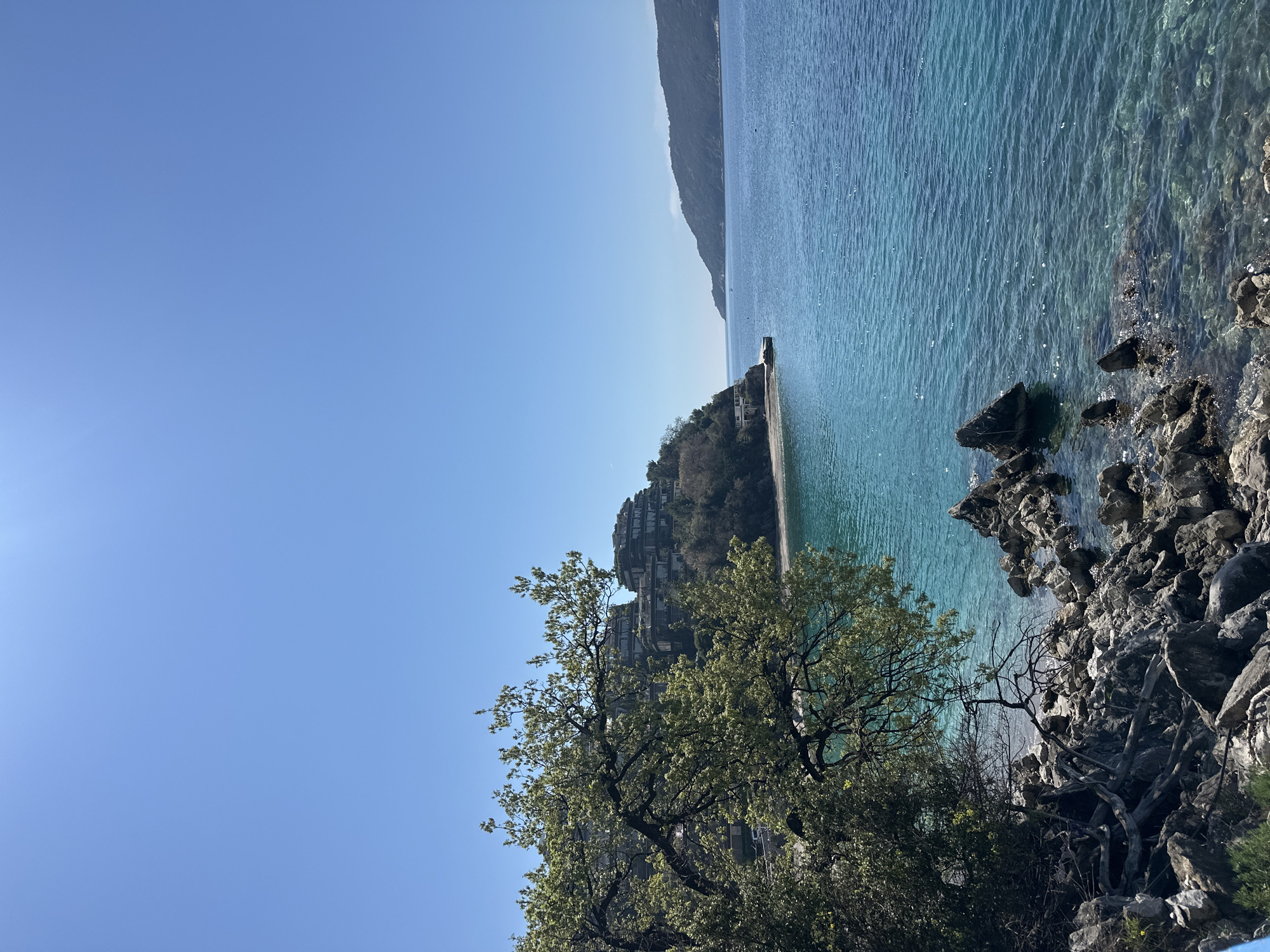 The image depicts a coastal scene in Budva, Montenegro, featuring clear turquoise water meeting a rocky shoreline. A small pier extends into the water, topped with a structure of unknown purpose. A wooded area of trees and undergrowth is prominent on the left, possibly on a slope. In the distance, a mountainous coastline can be seen. The sky is clear and bright blue.